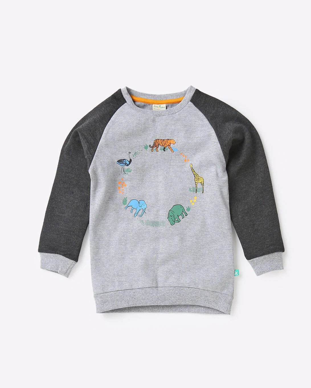 Boys Printed SweaT-Shirt