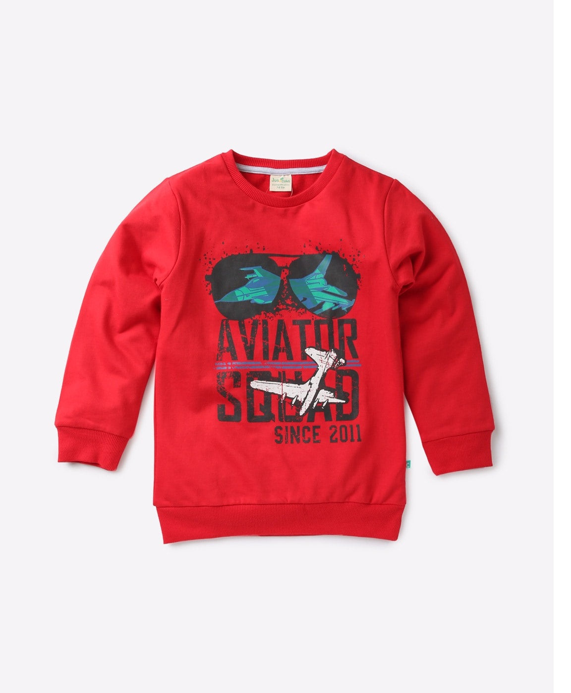 Boys Printed  SweaT-Shirt