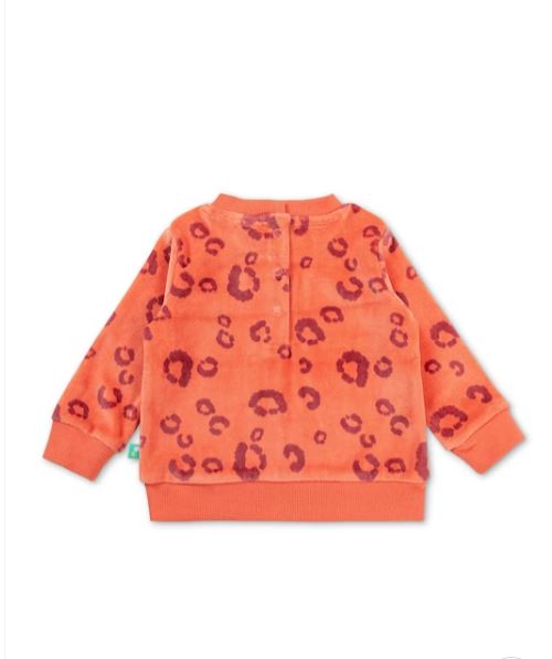 Girls Full Sleeve All Over Printed SweaT-Shirt