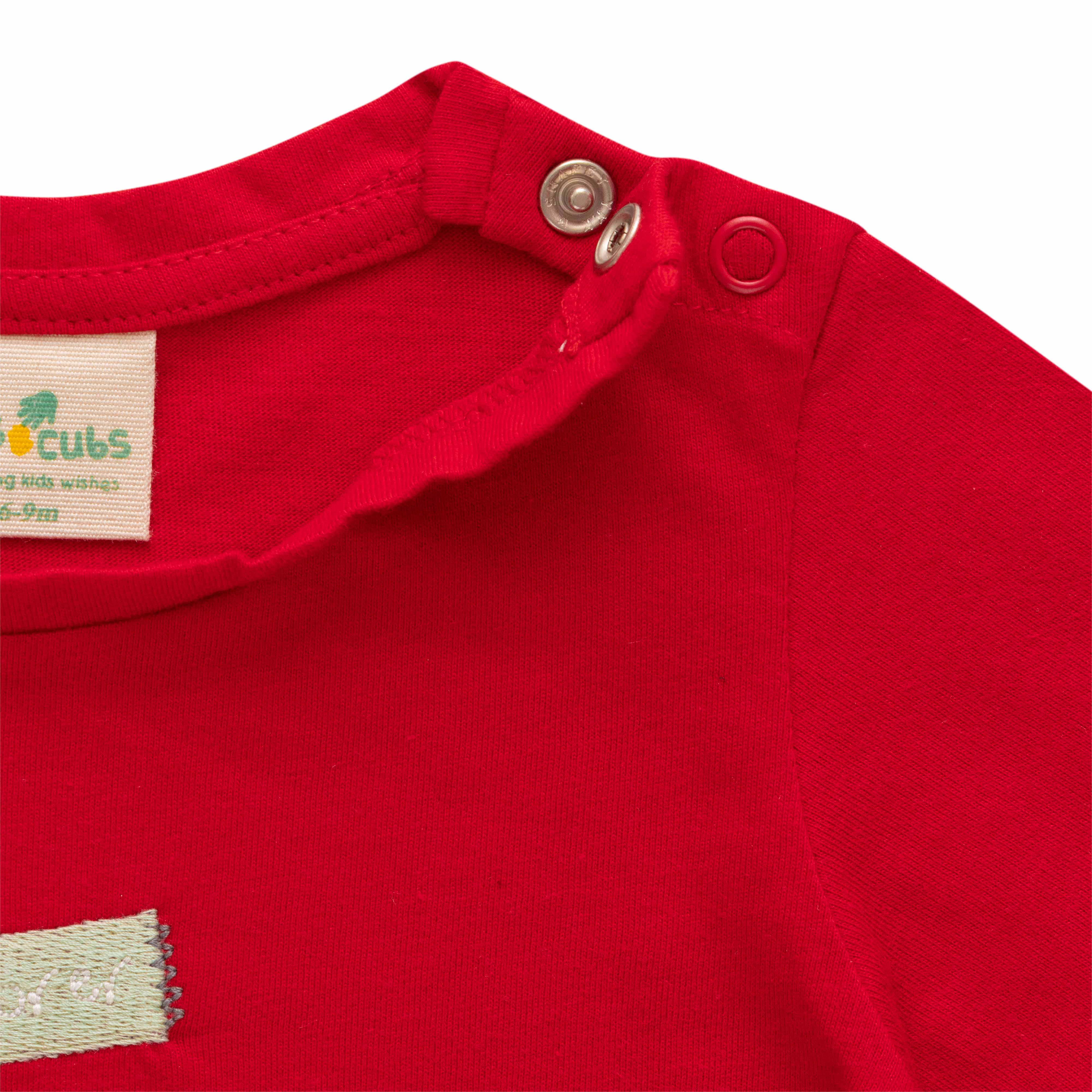 Infant Boys Striped Pure Cotton T-shirt with Shorts- Red