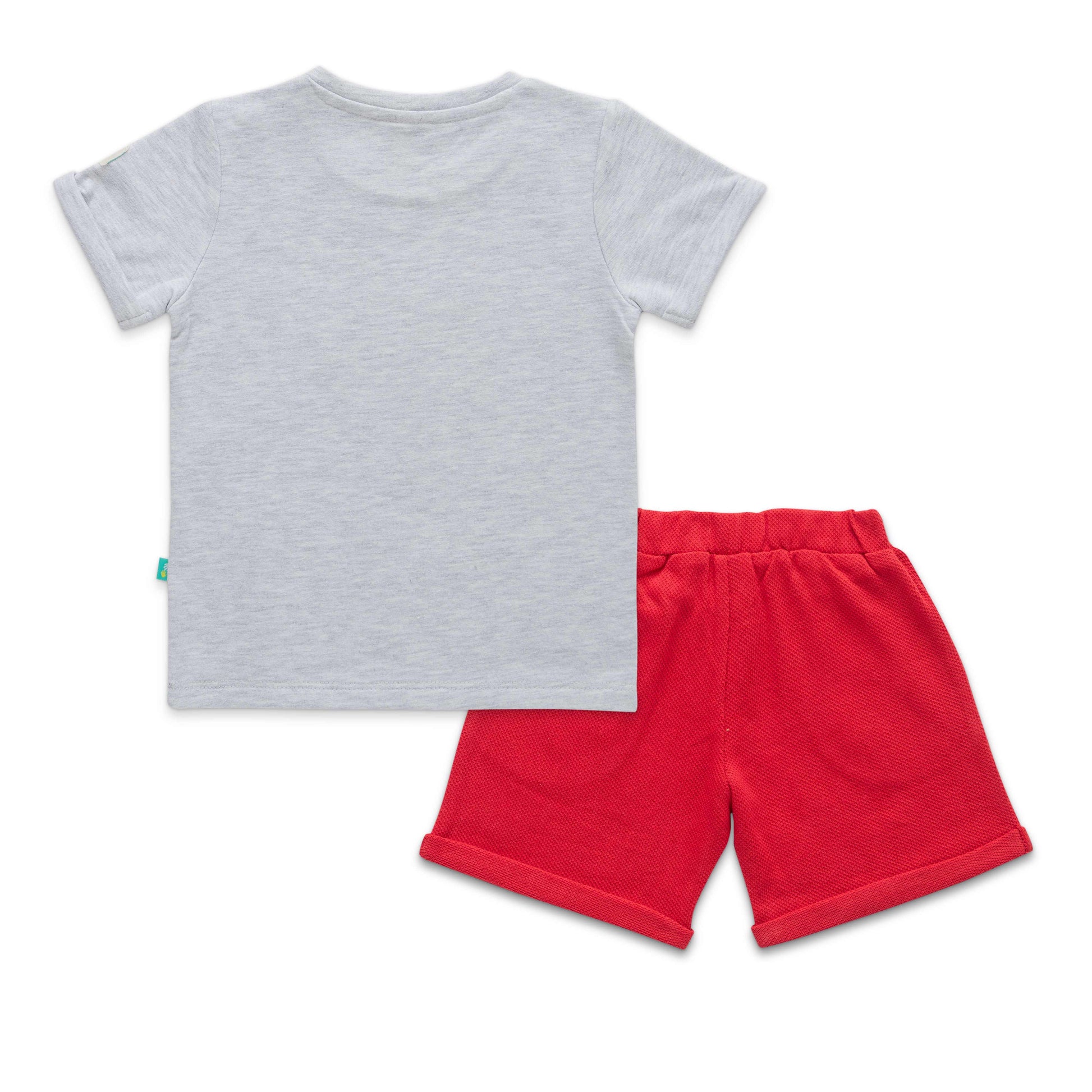 "Baby Boys' Construction Vehicle Print T-Shirt and Shorts Set – Grey & Red"