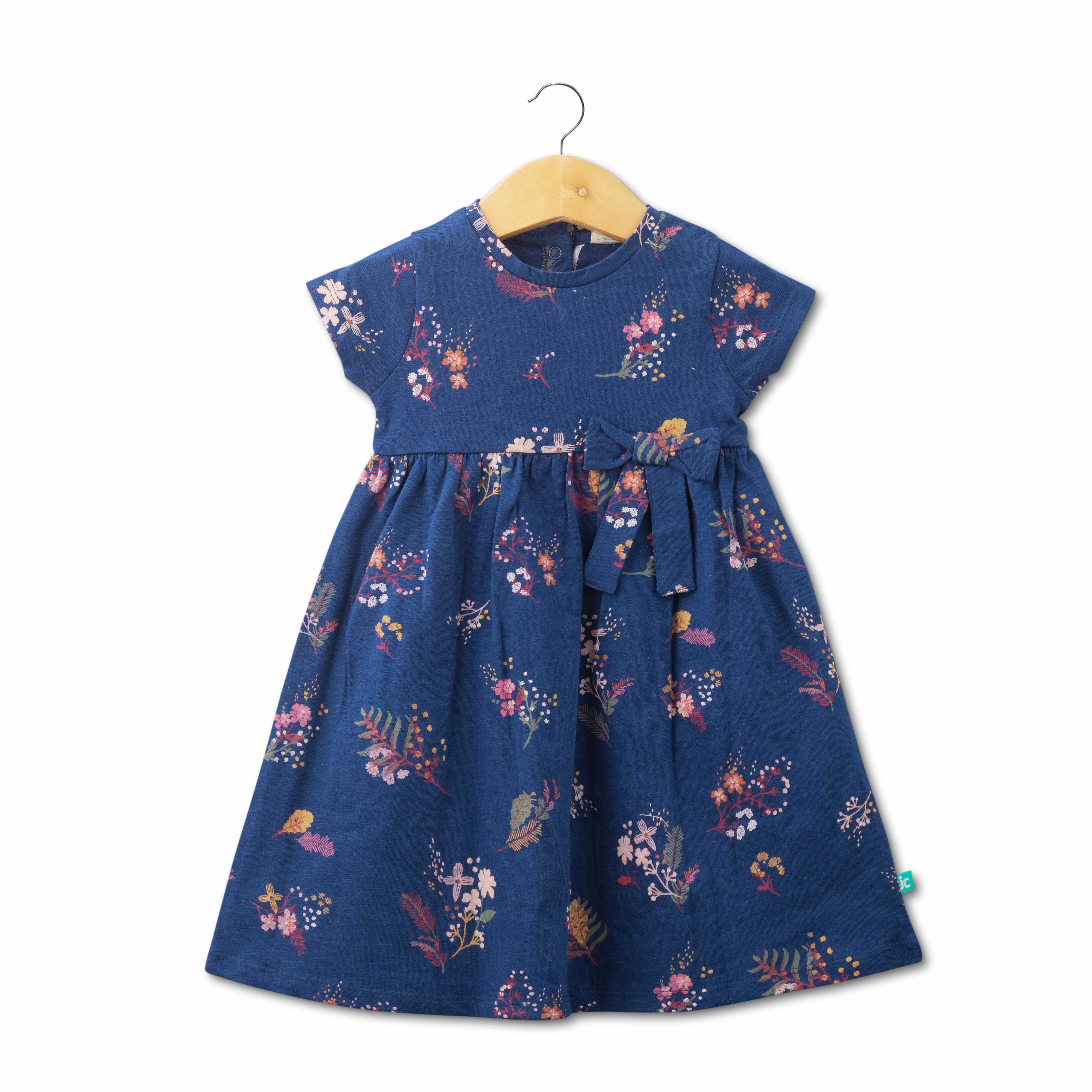 Baby Girls Trendy Printed Below Knee Casual Dress - Blue