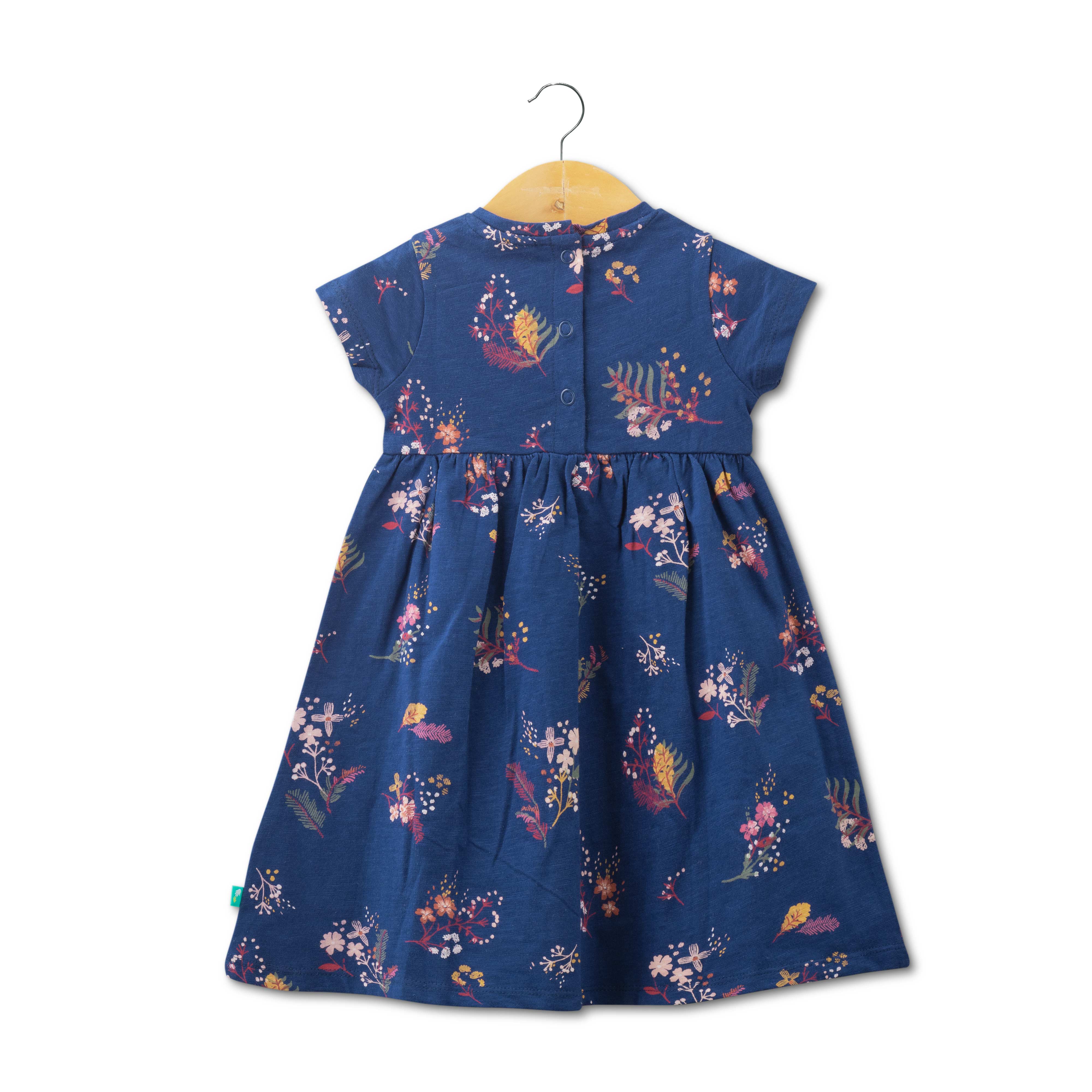Baby Girls Trendy Printed Below Knee Casual Dress - Blue