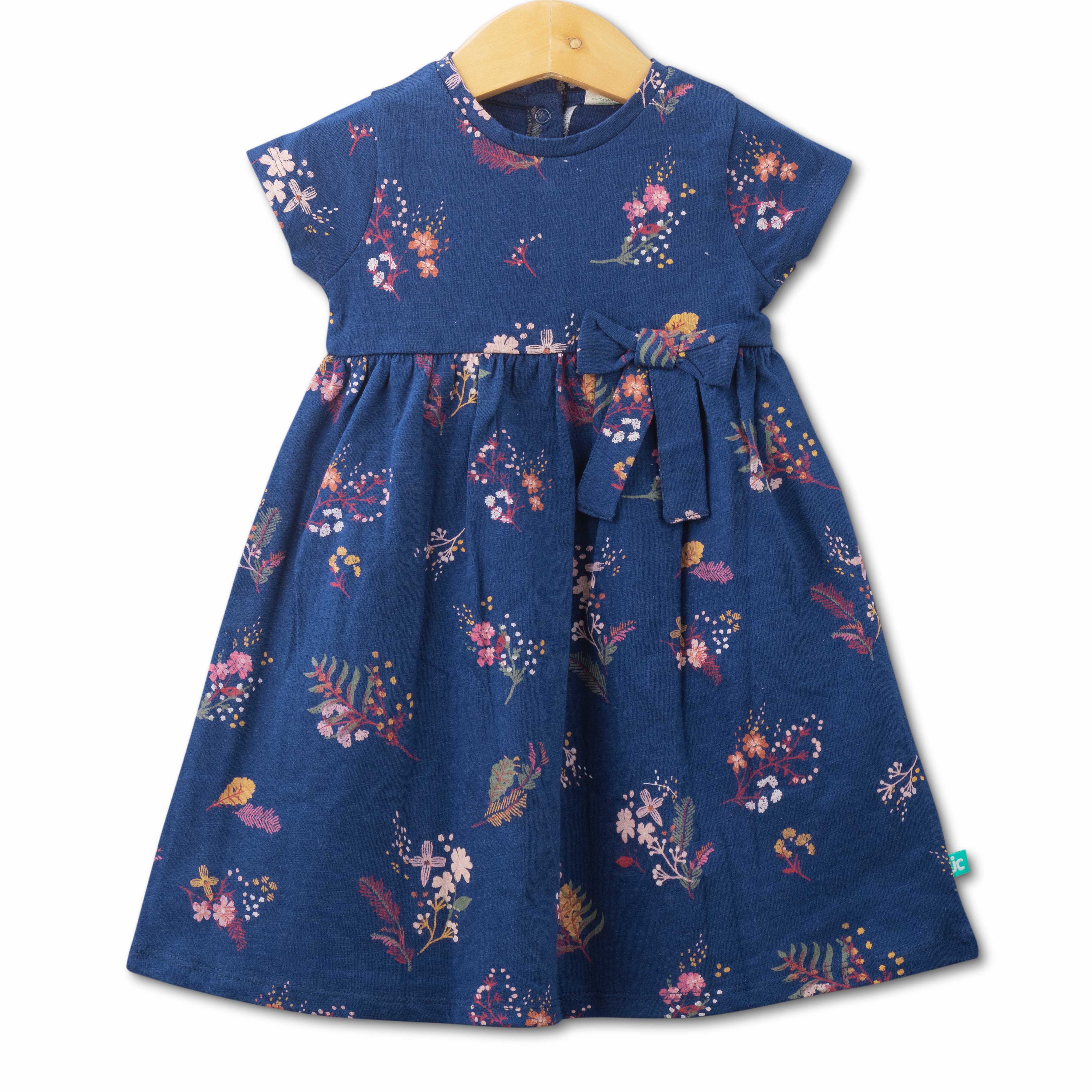 Baby Girls Trendy Printed Below Knee Casual Dress - Blue