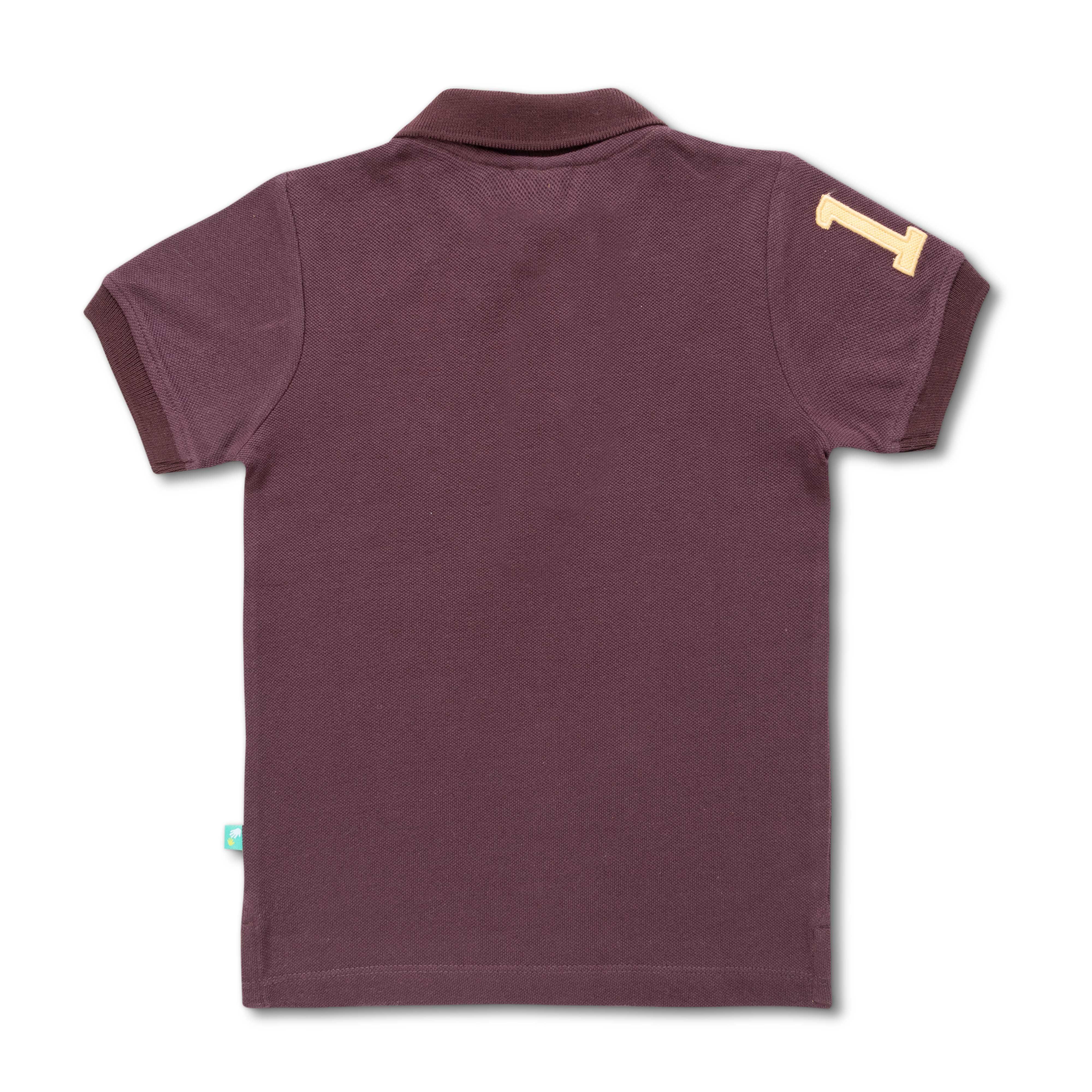 Young Boys Solid Polo T Shirt - Juscubs