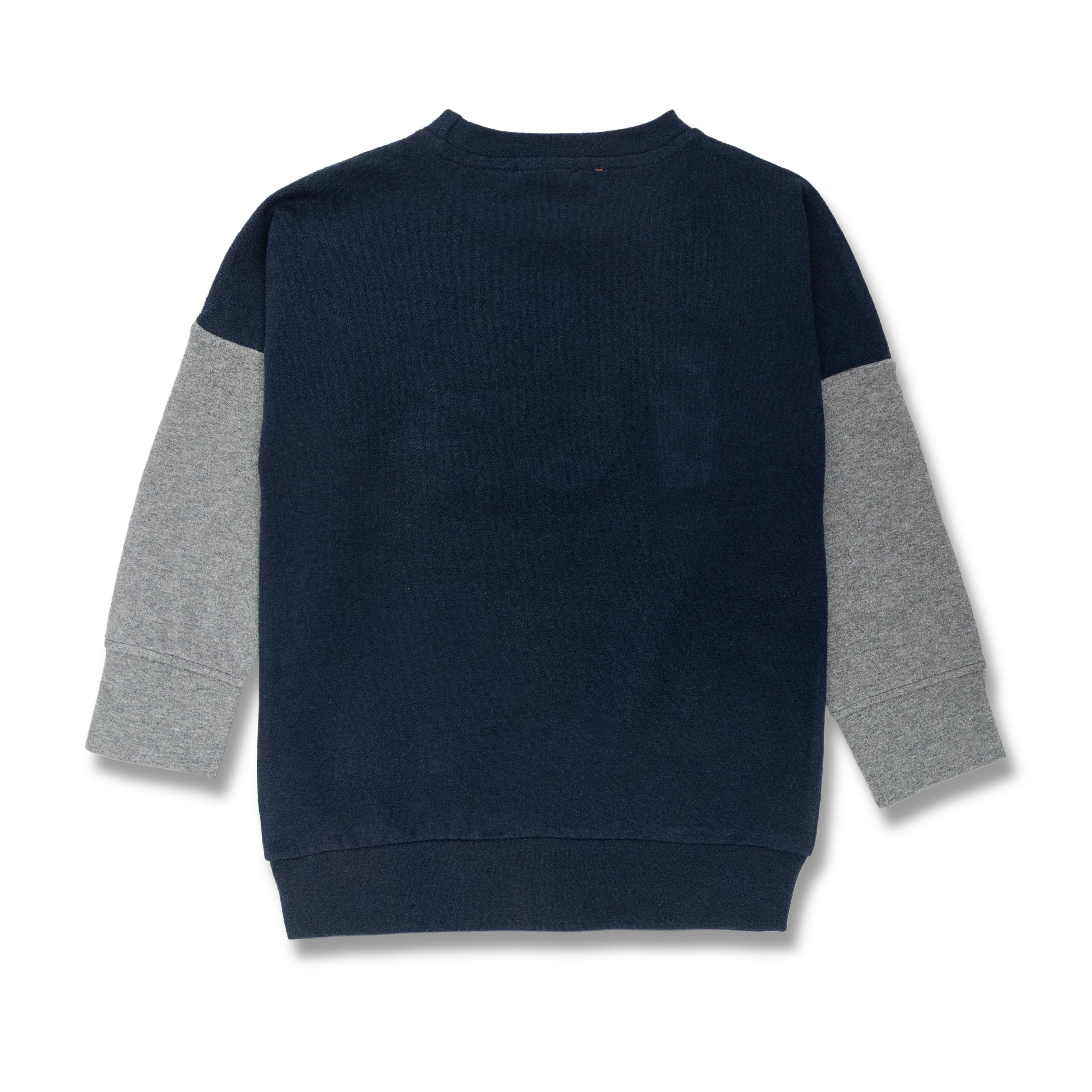Young Boys Printed Full Sleeve Sweatshirt - Juscubs
