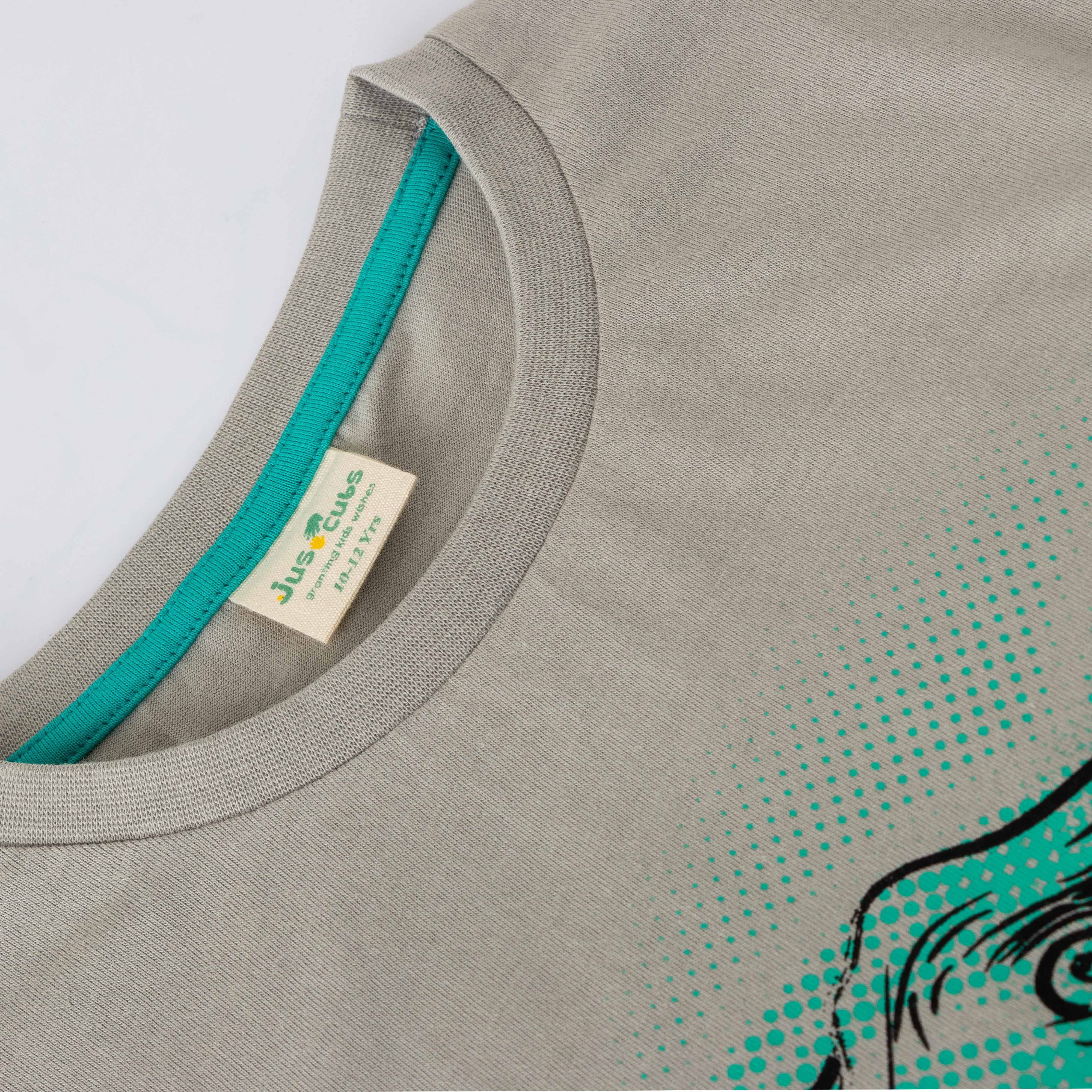 Boys' Grey T-Rex Printed Long Sleeve T-Shirt