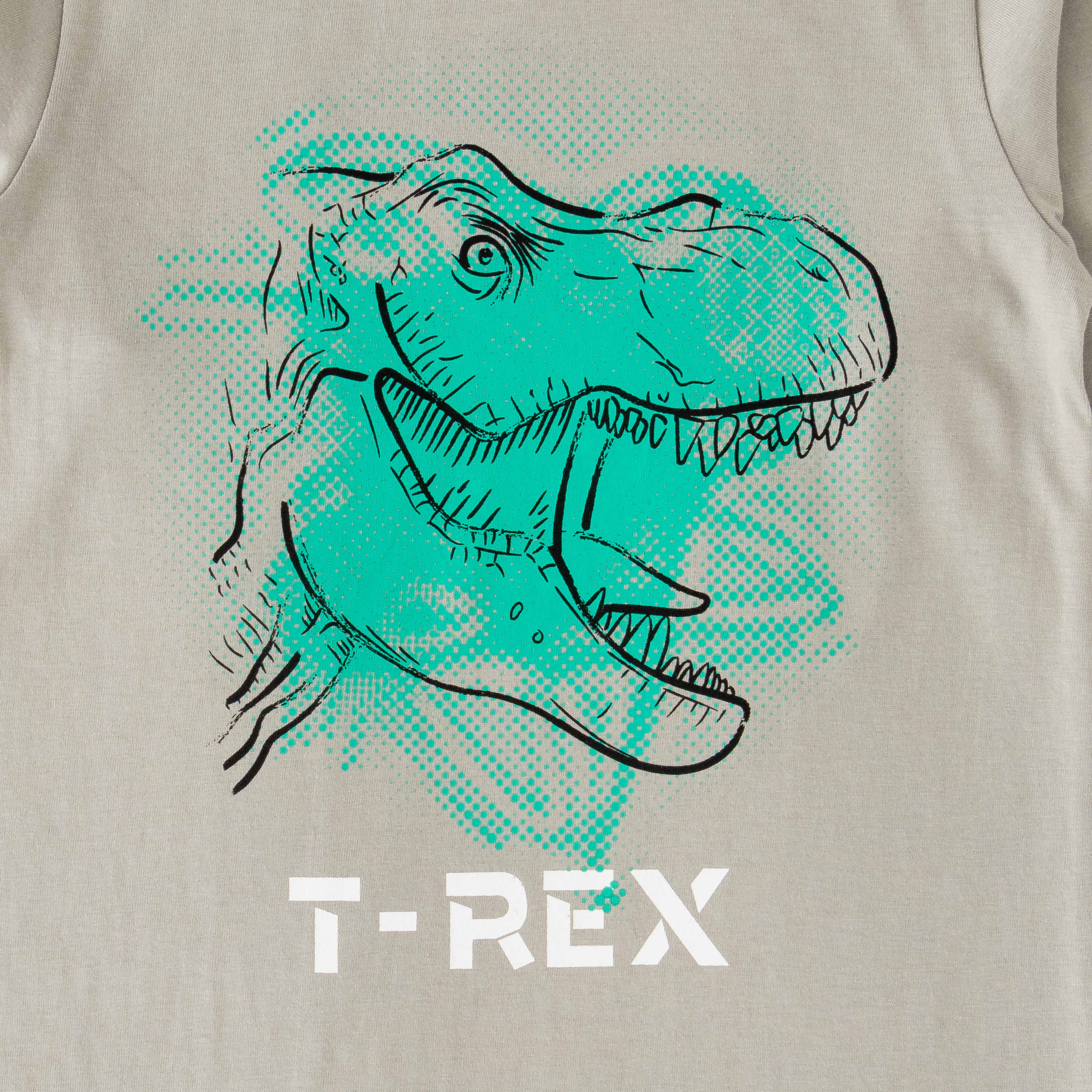 Boys' Grey T-Rex Printed Long Sleeve T-Shirt