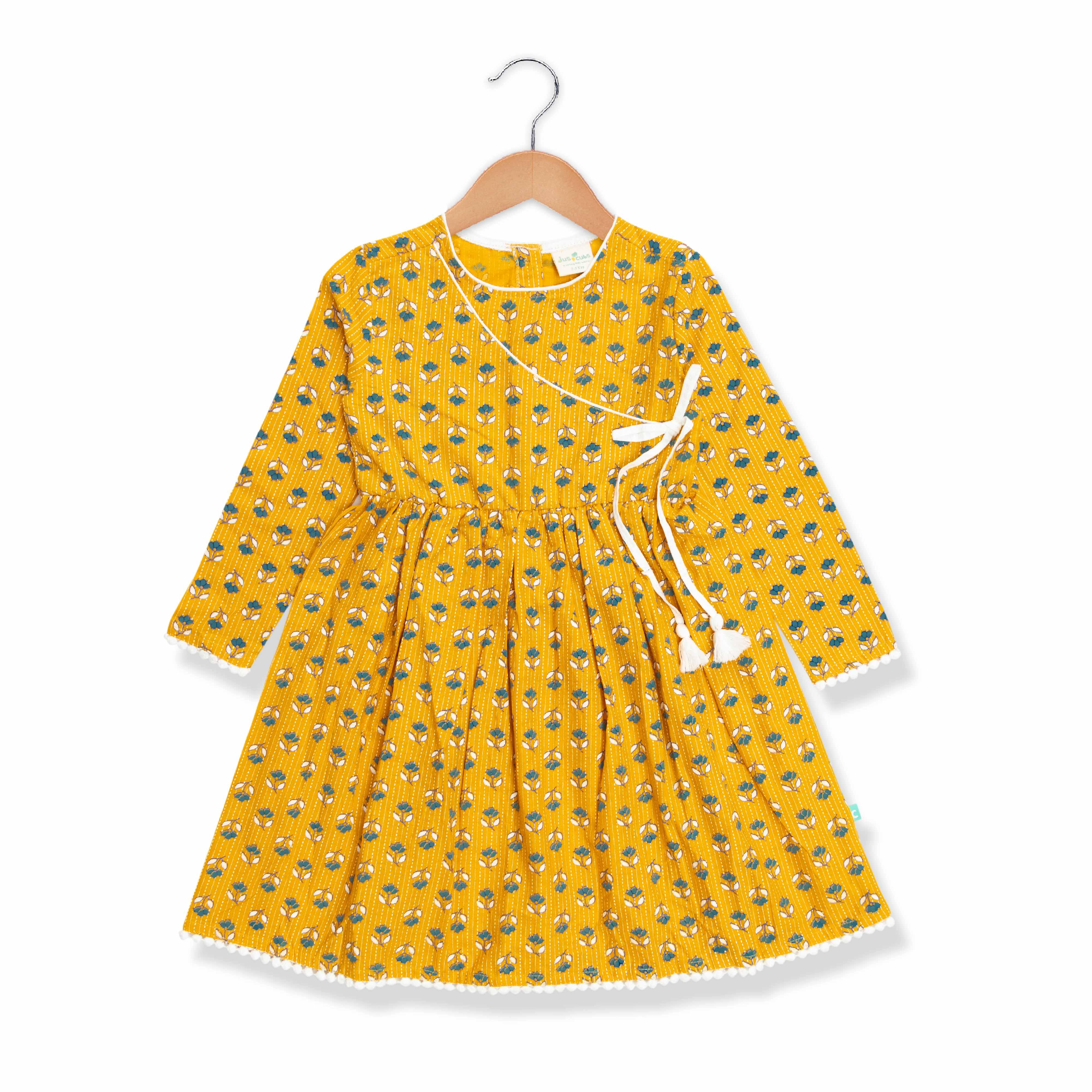 Baby Girls All Over Printed Full Sleeve Dress