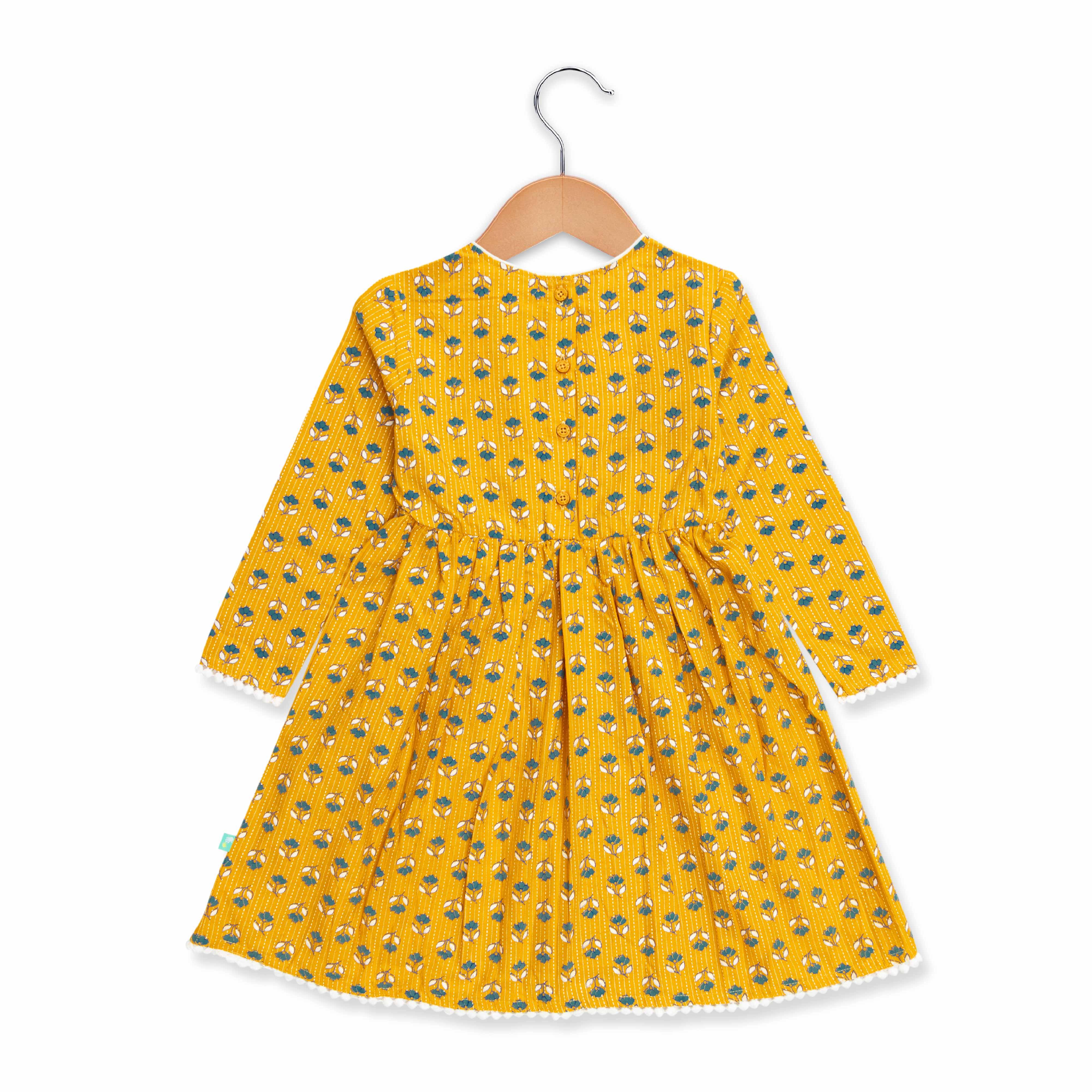 Baby Girls All Over Printed Full Sleeve Dress