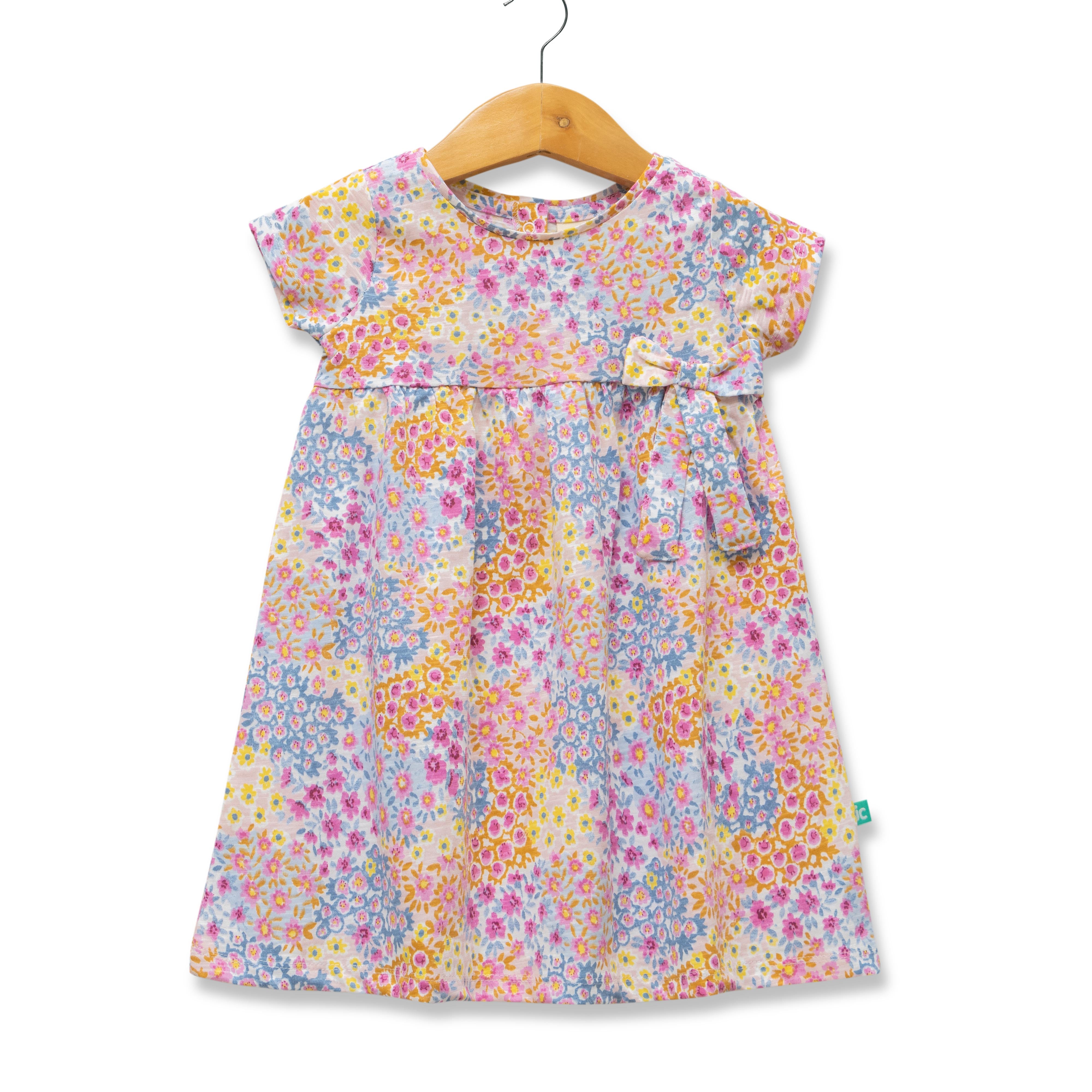 Baby Girls All Over Printed Fit & Flare Dress