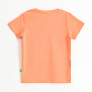 Baby Boys Peach Train Graphic Printed Cotton T-Shirt