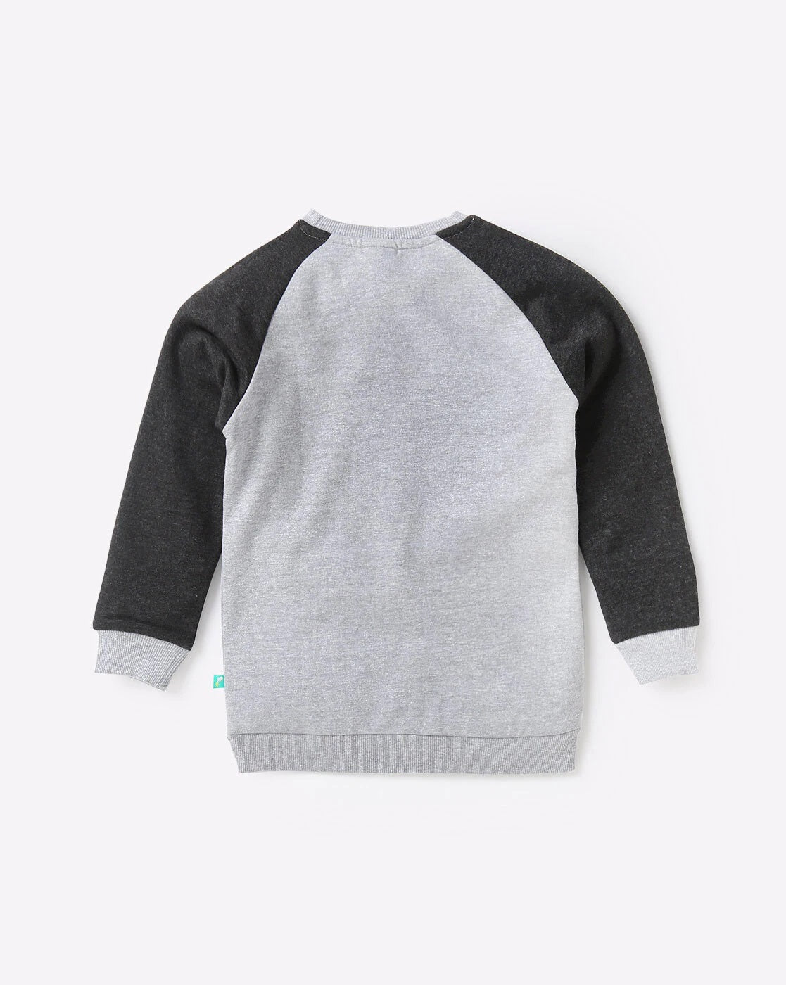 Boys Printed SweaT-Shirt