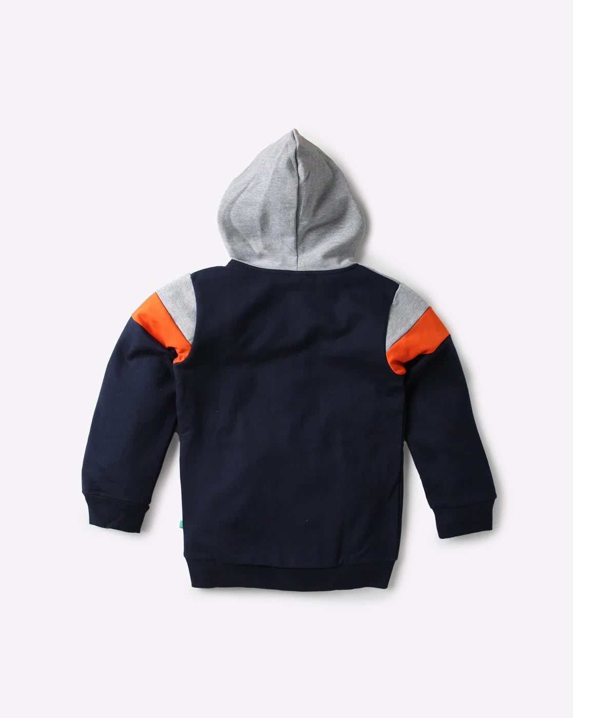 Boys Dino Printed Hoodie