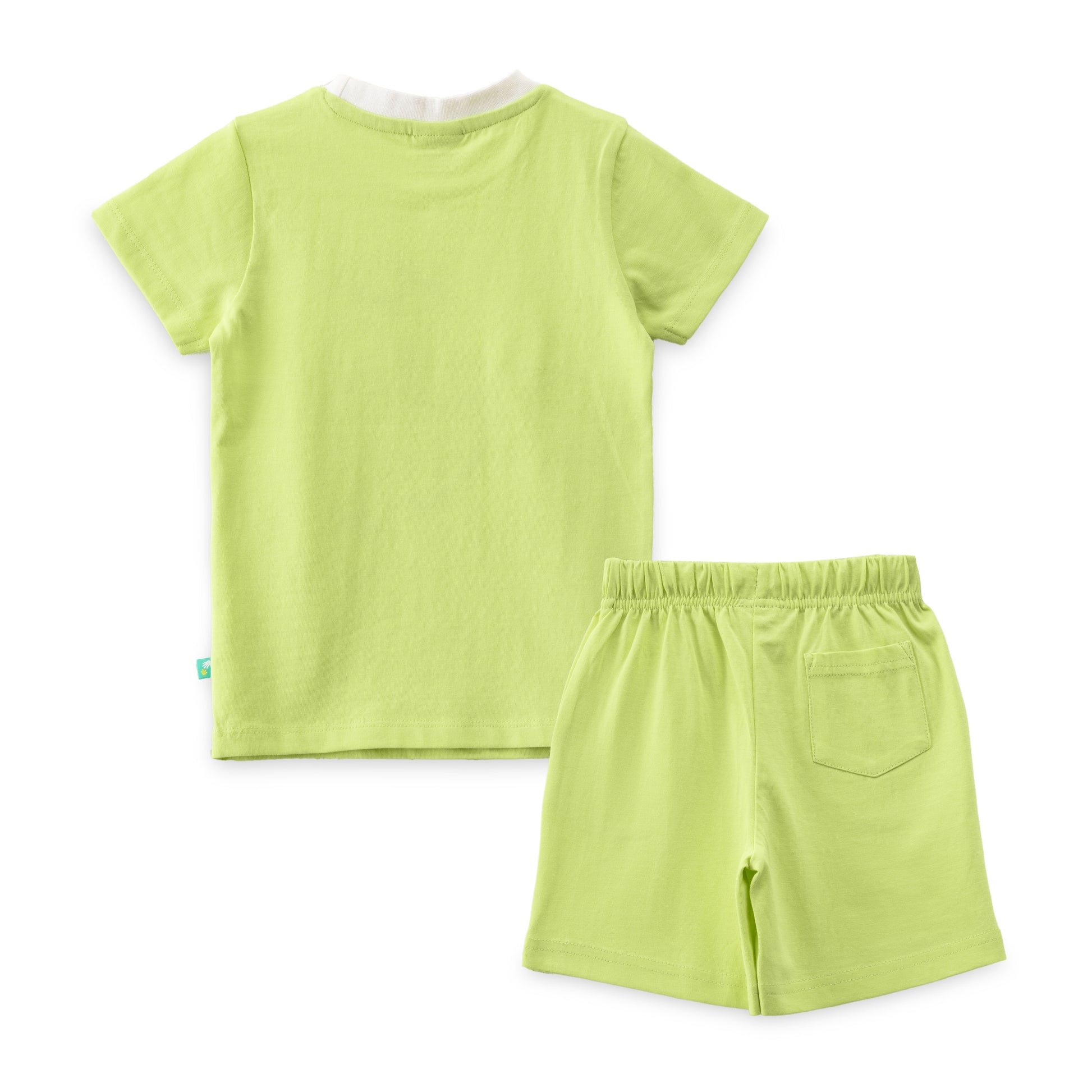 "Baby Boys Green Frog Print T-Shirt & Shorts Set with Googly Eyes – Cotton Co-Ord Set"