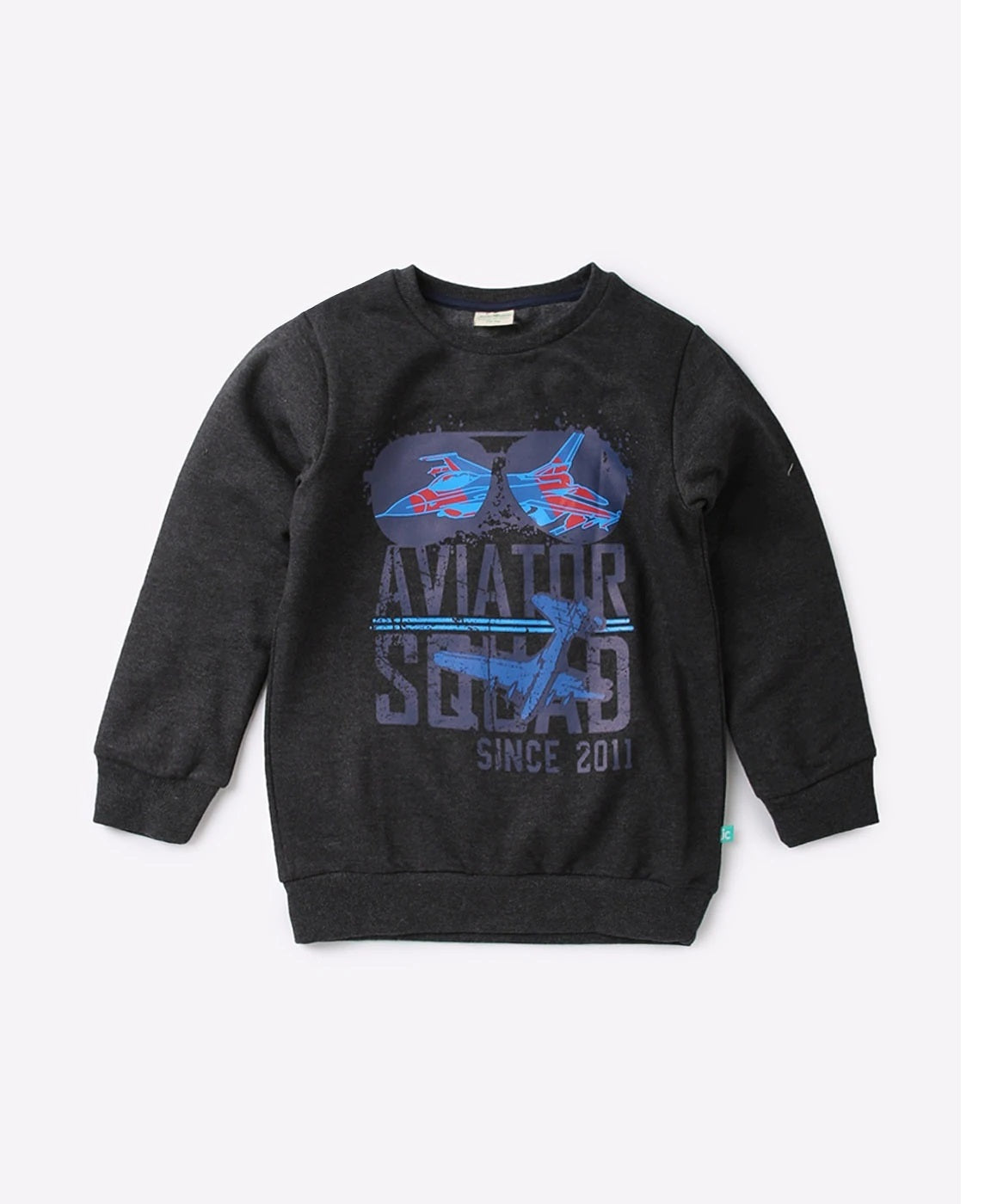 Boys Printed  SweaT-Shirt