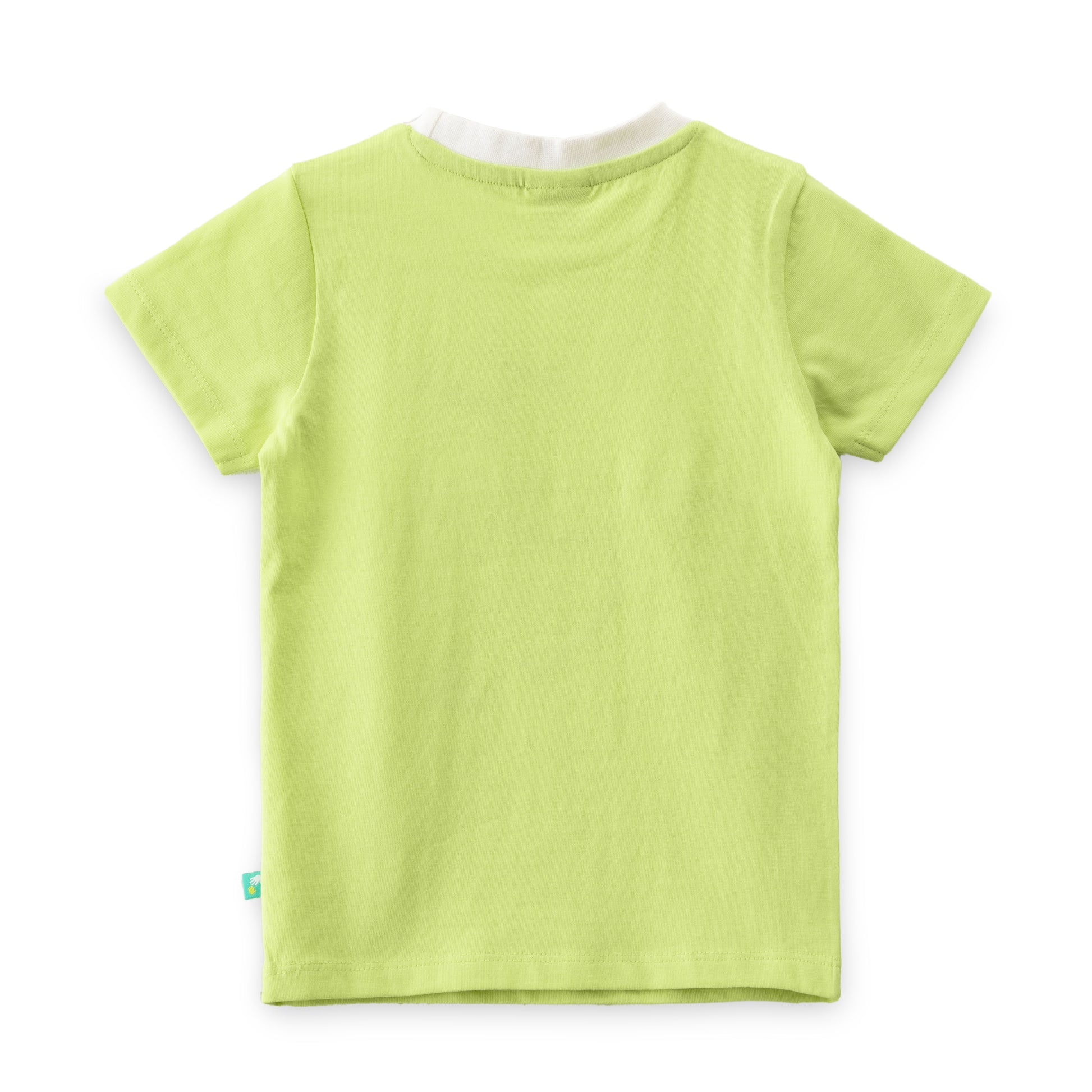 "Baby Boys Green Frog Print T-Shirt & Shorts Set with Googly Eyes – Cotton Co-Ord Set"