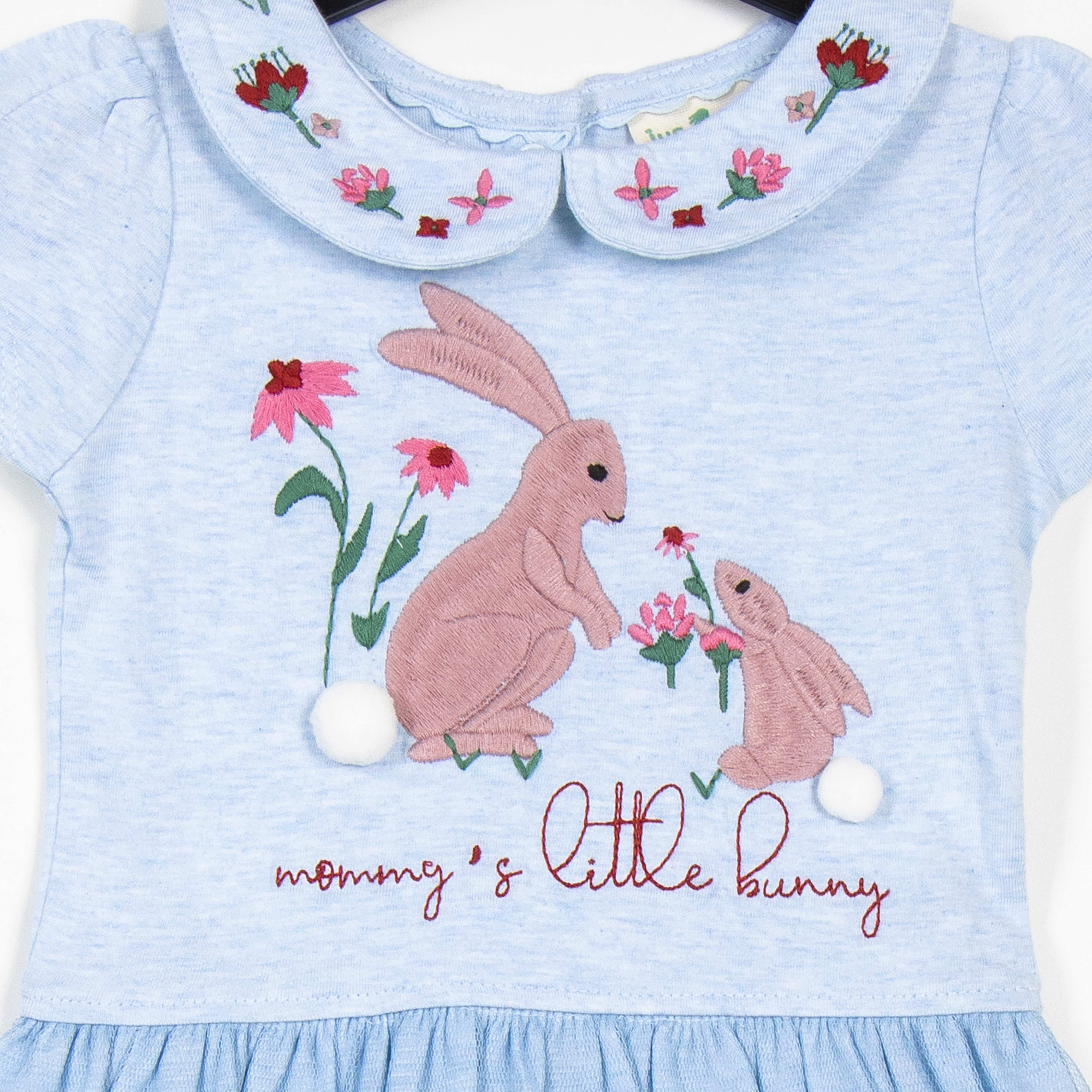 Girls Rabbit Embroidery Dress