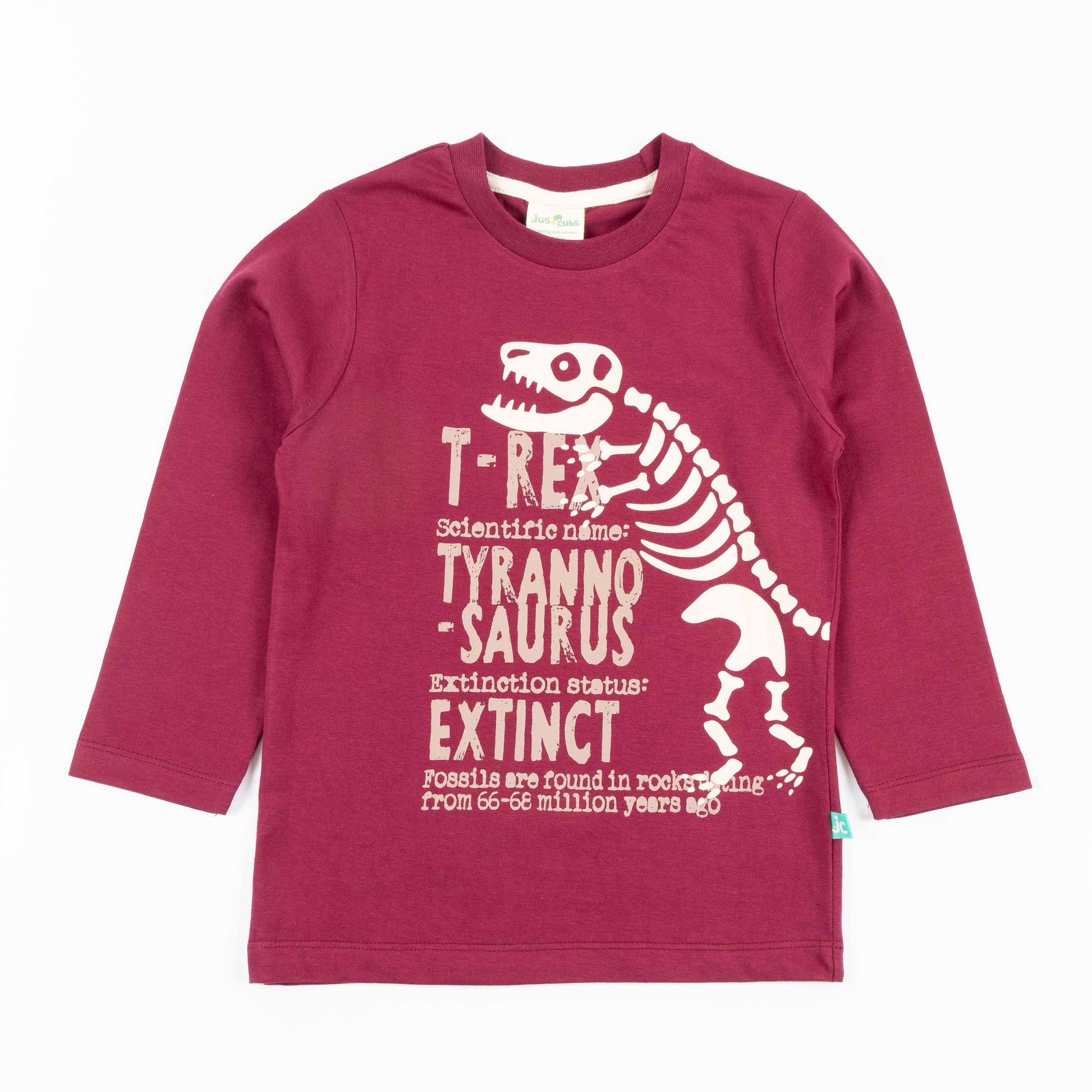 Boys' Maroon T-Shirt with T-Rex Fossil Print