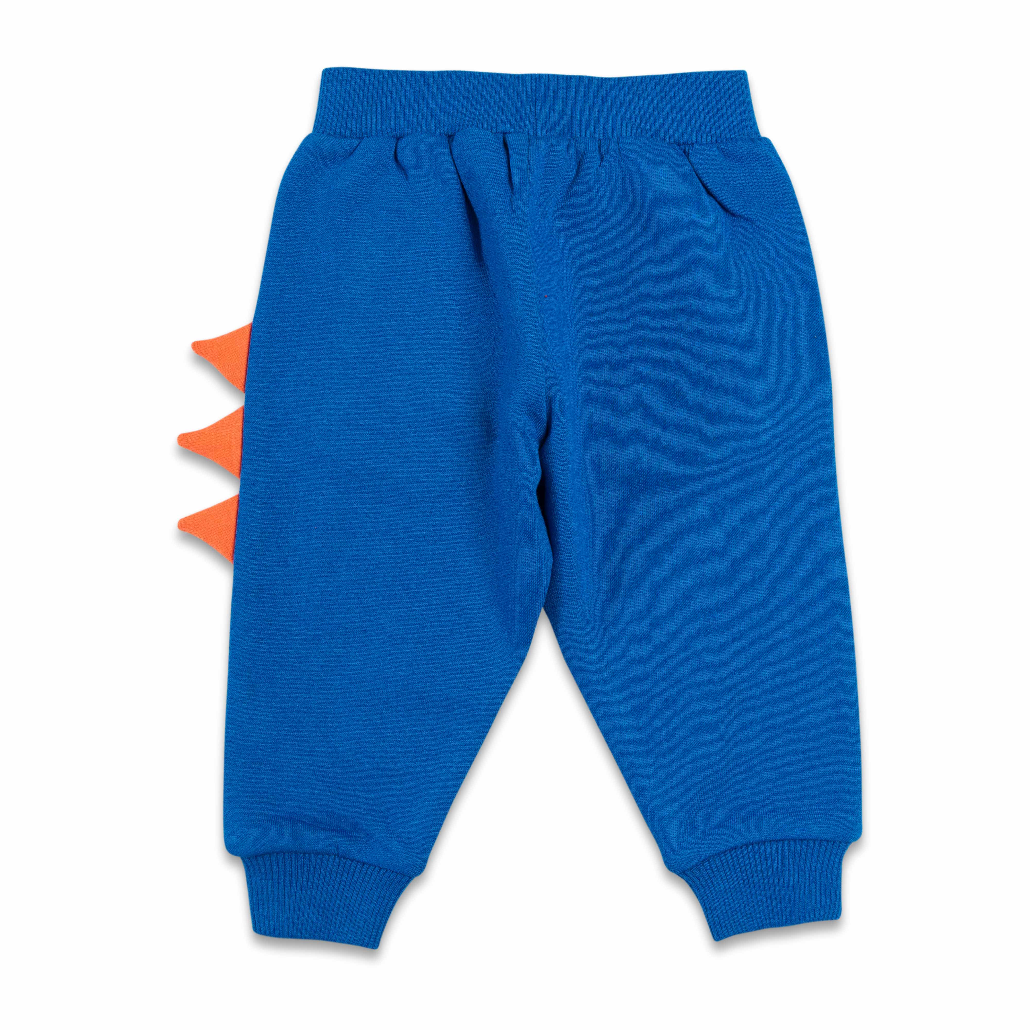 Baby Boys Graphic Printed T Shirt & Solid Pant