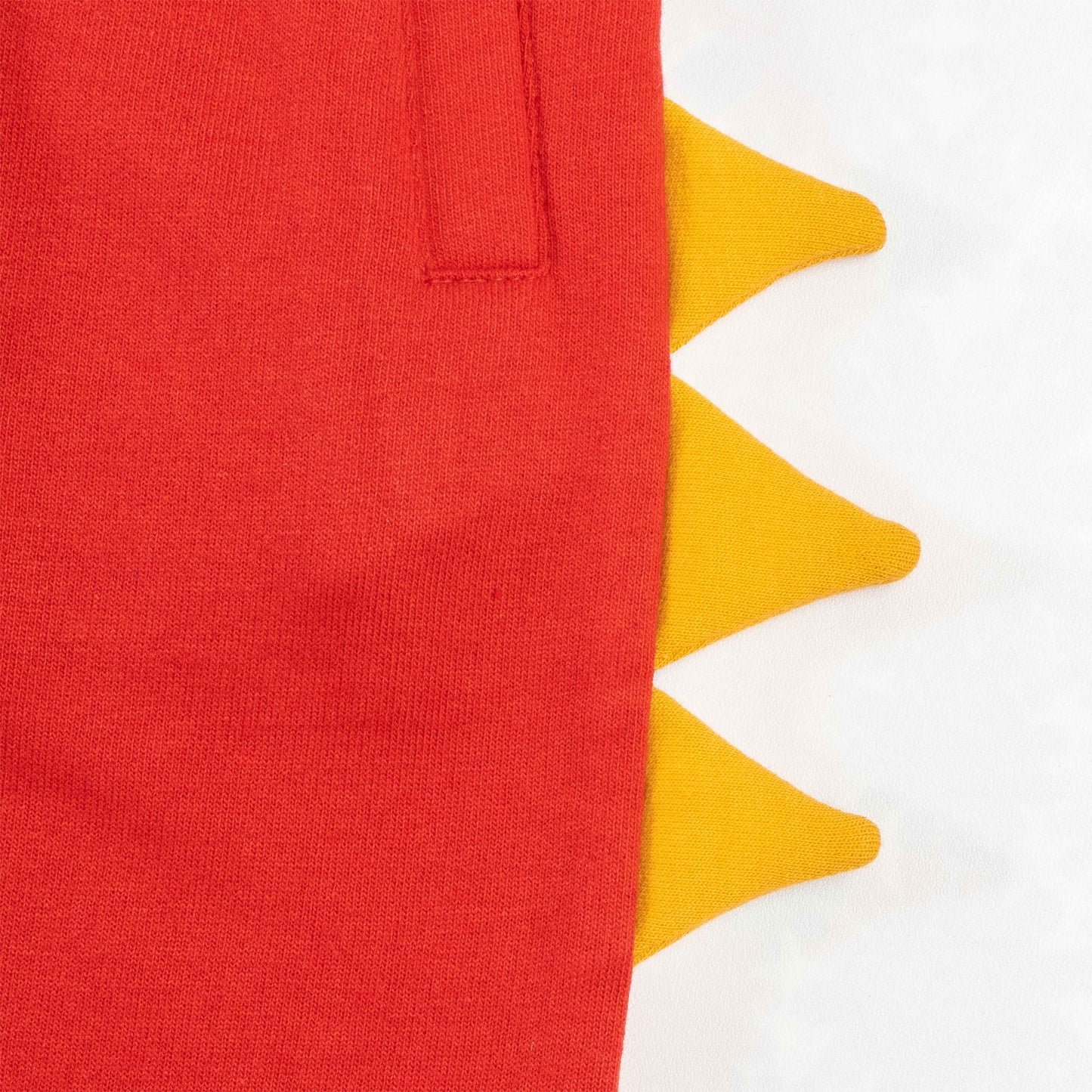 Boys Full Sleeve Dinosaur Print T Shirt With Jogger Pant