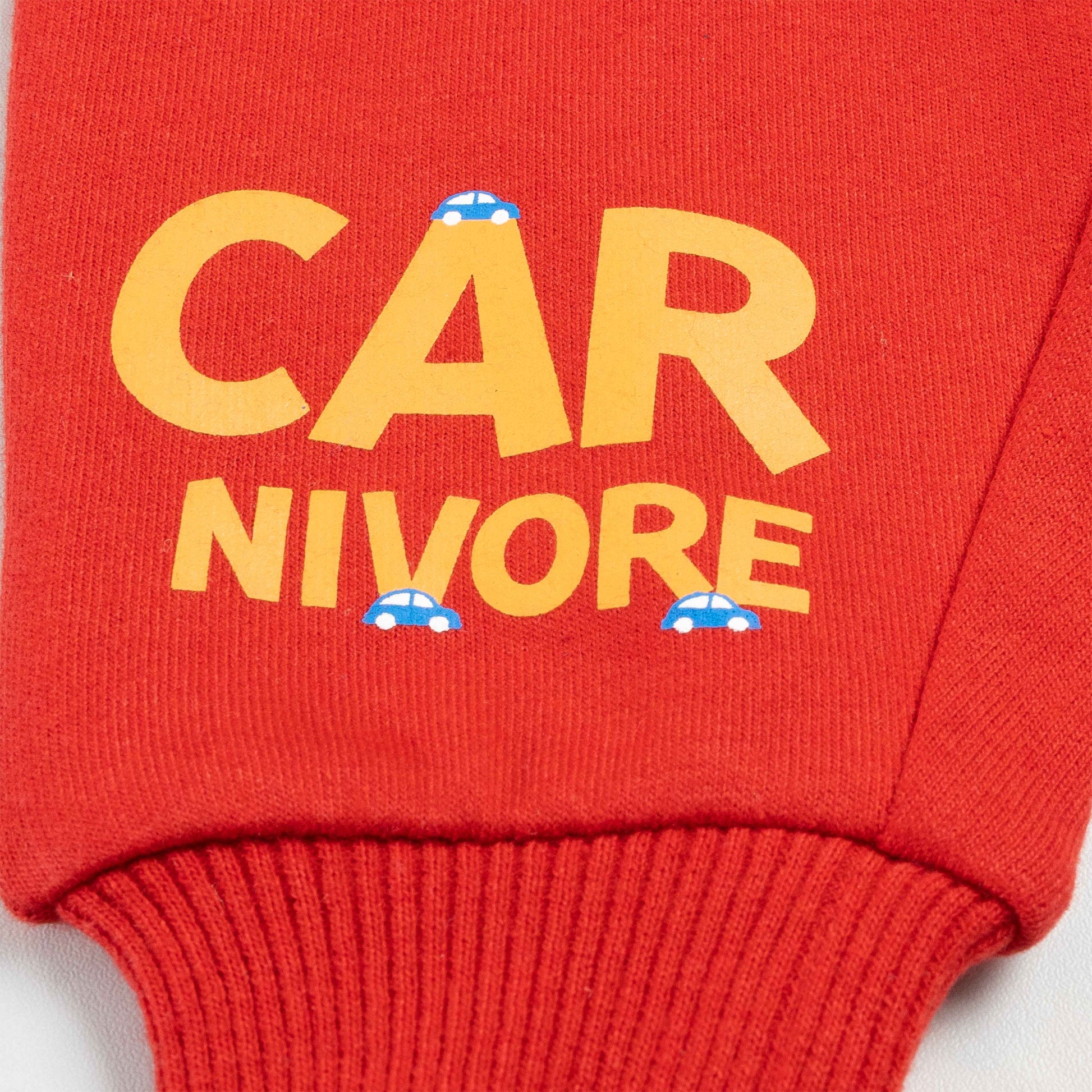 Boys Full Sleeve Dinosaur Print T Shirt With Jogger Pant