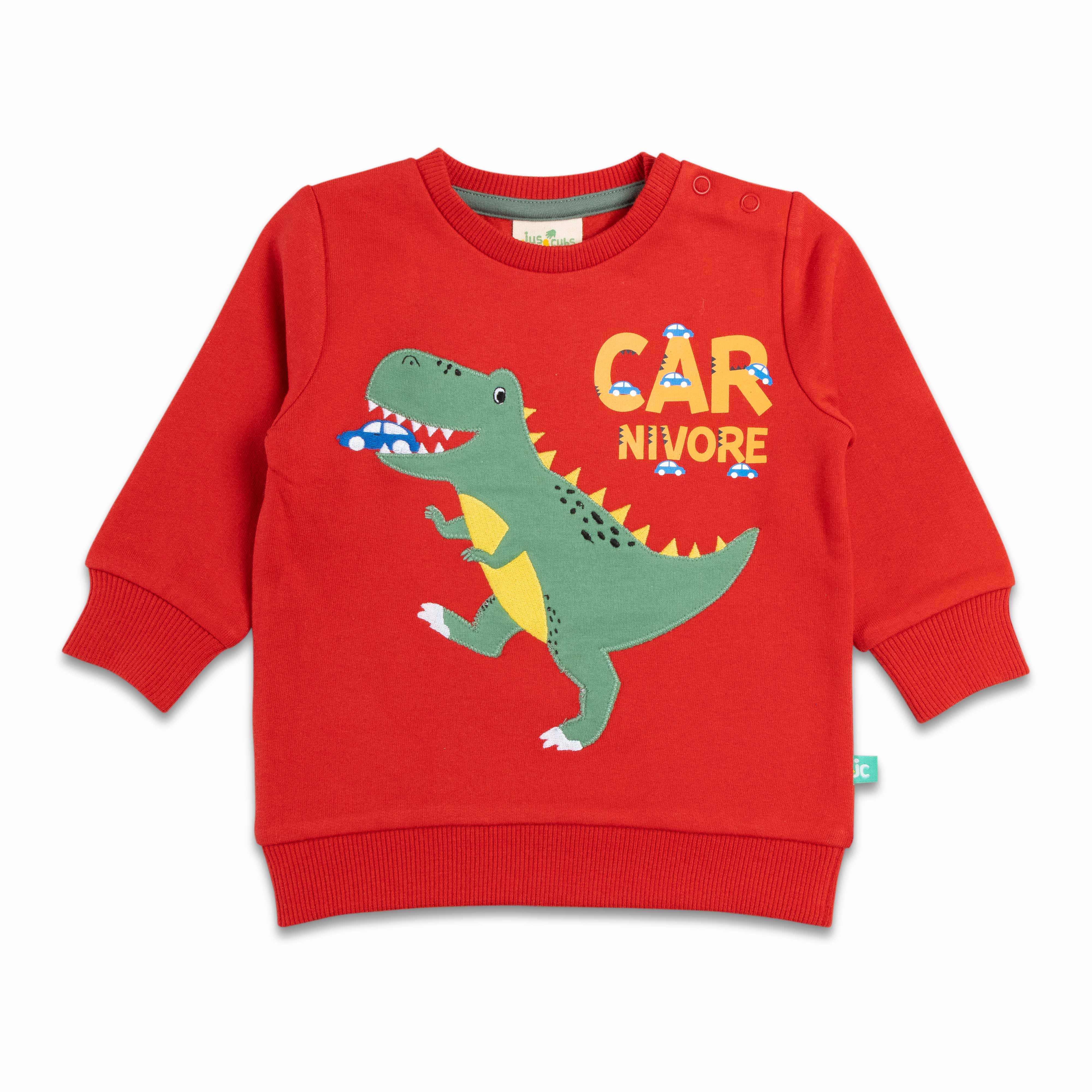 Boys Full Sleeve Dinosaur Print T Shirt With Jogger Pant