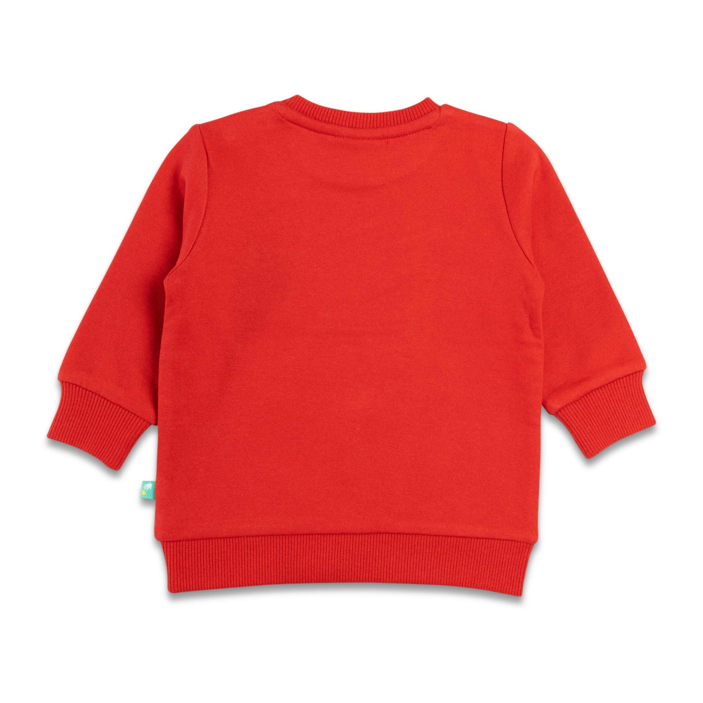 Boys Full Sleeve Dinosaur Print T Shirt With Jogger Pant