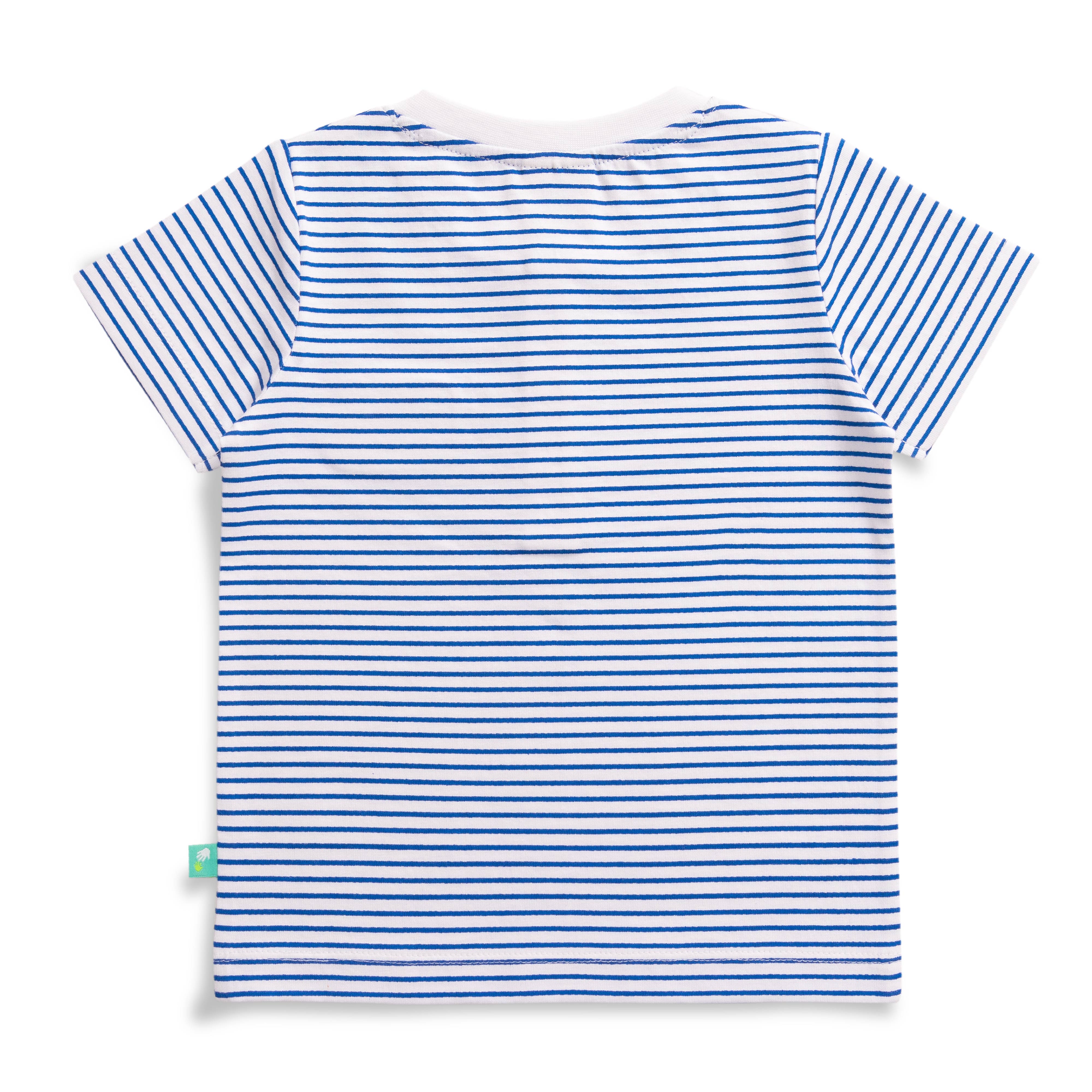 Baby Boys Striped T Shirt & Solid Shorts Set