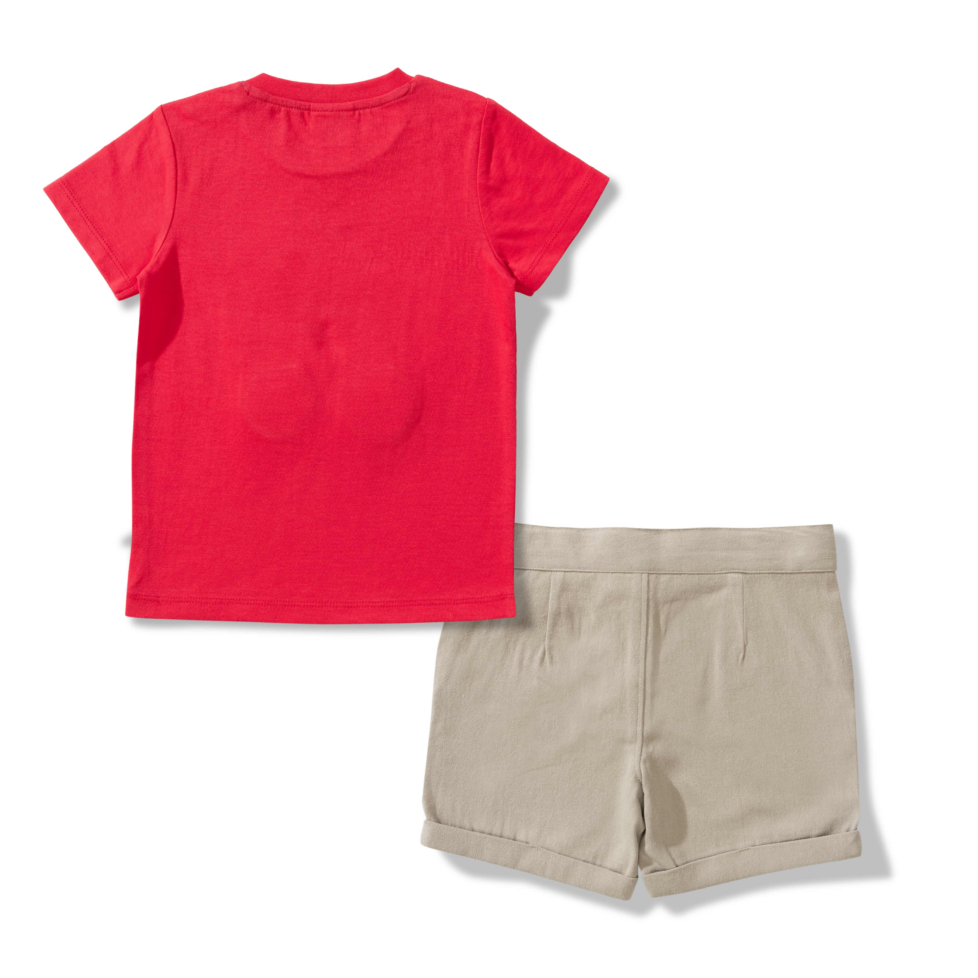 Baby Boys Graphic Printed T Shirt & Solid Shorts