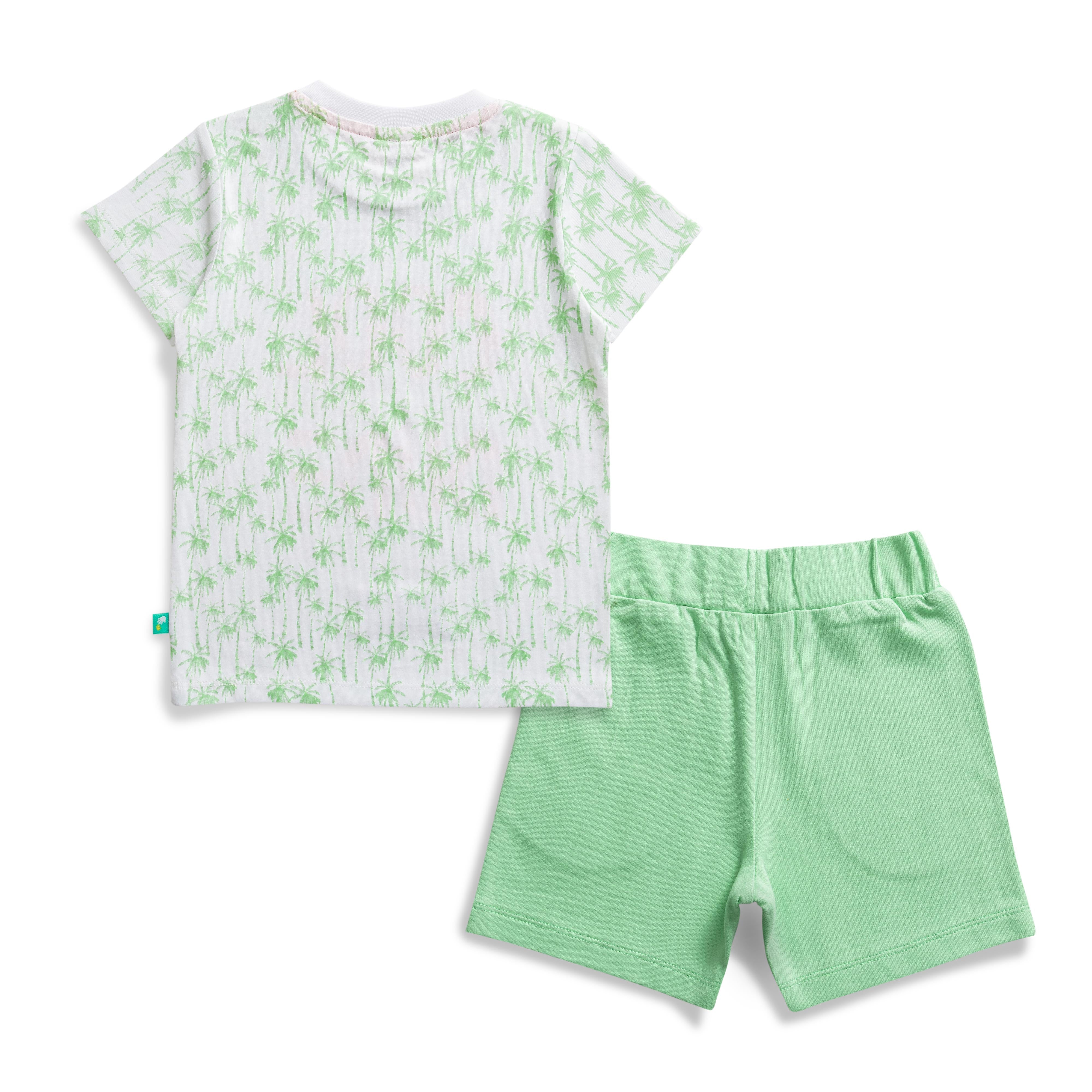 Baby Boys Cool Dude Printed T Shirt & Solid Shorts Set