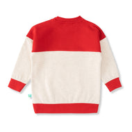 Baby Boys Full Sleeve Three Ducks One Day Printed Sweatshirt