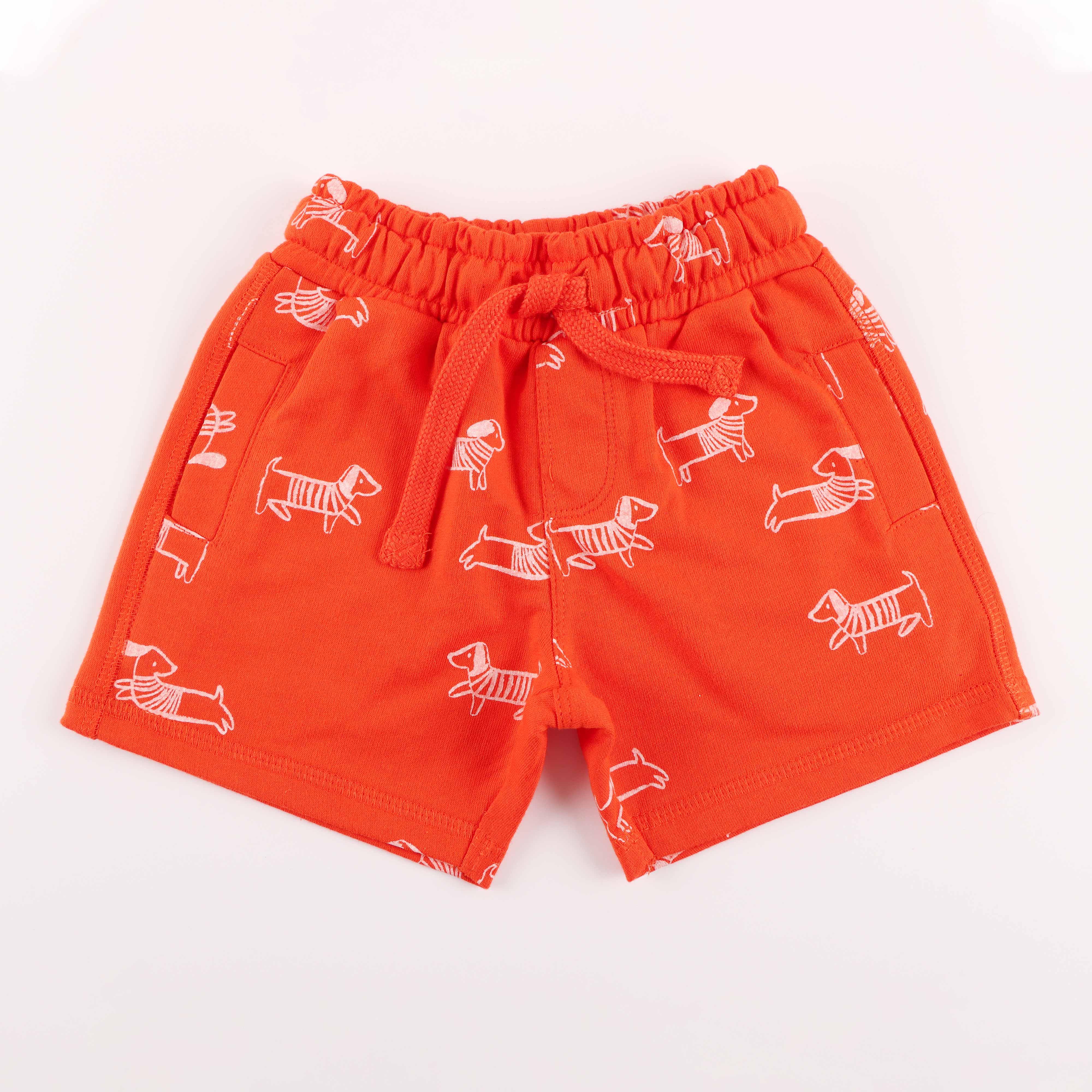 Boys Animal Printed Shorts - Juscubs