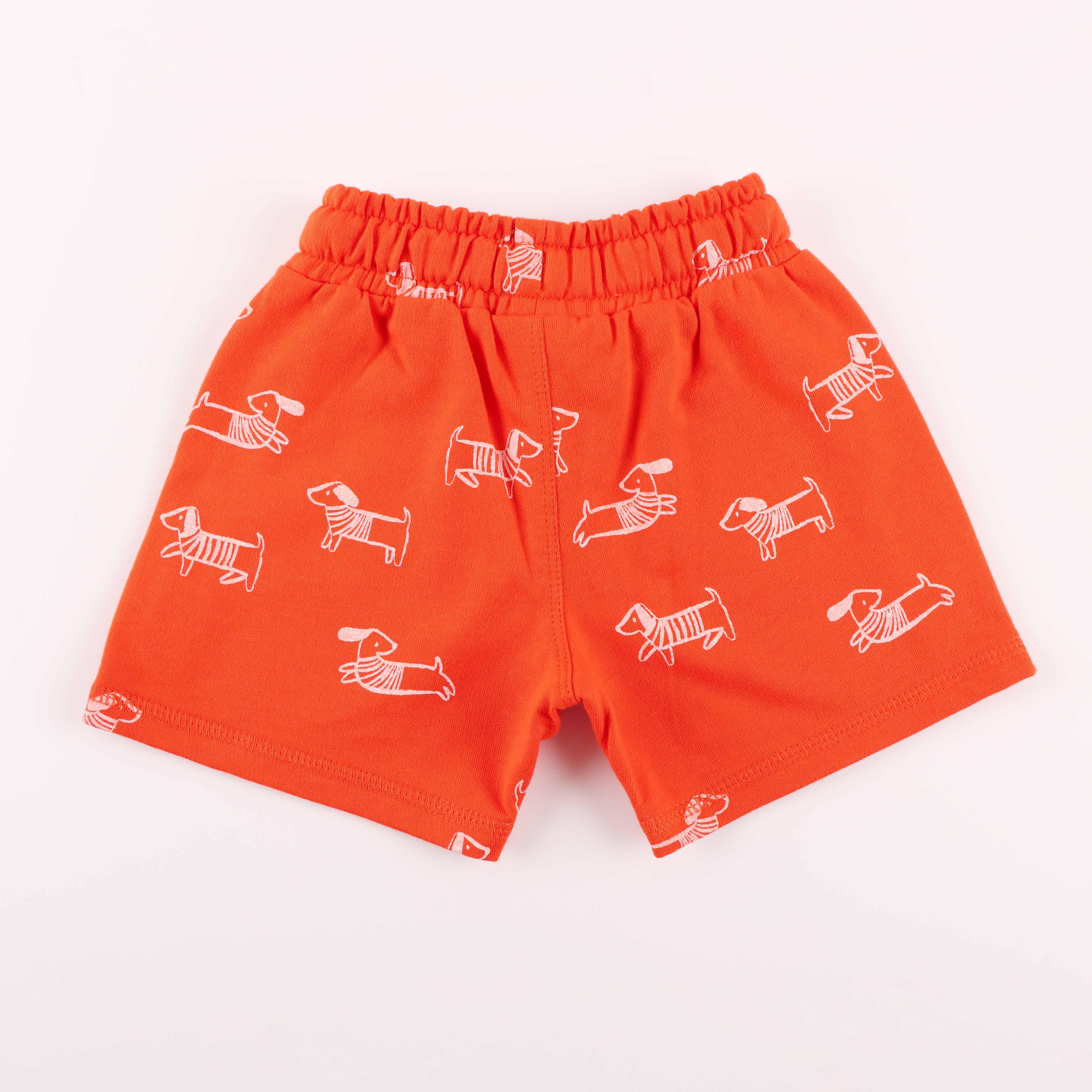 Boys Animal Printed Shorts - Juscubs