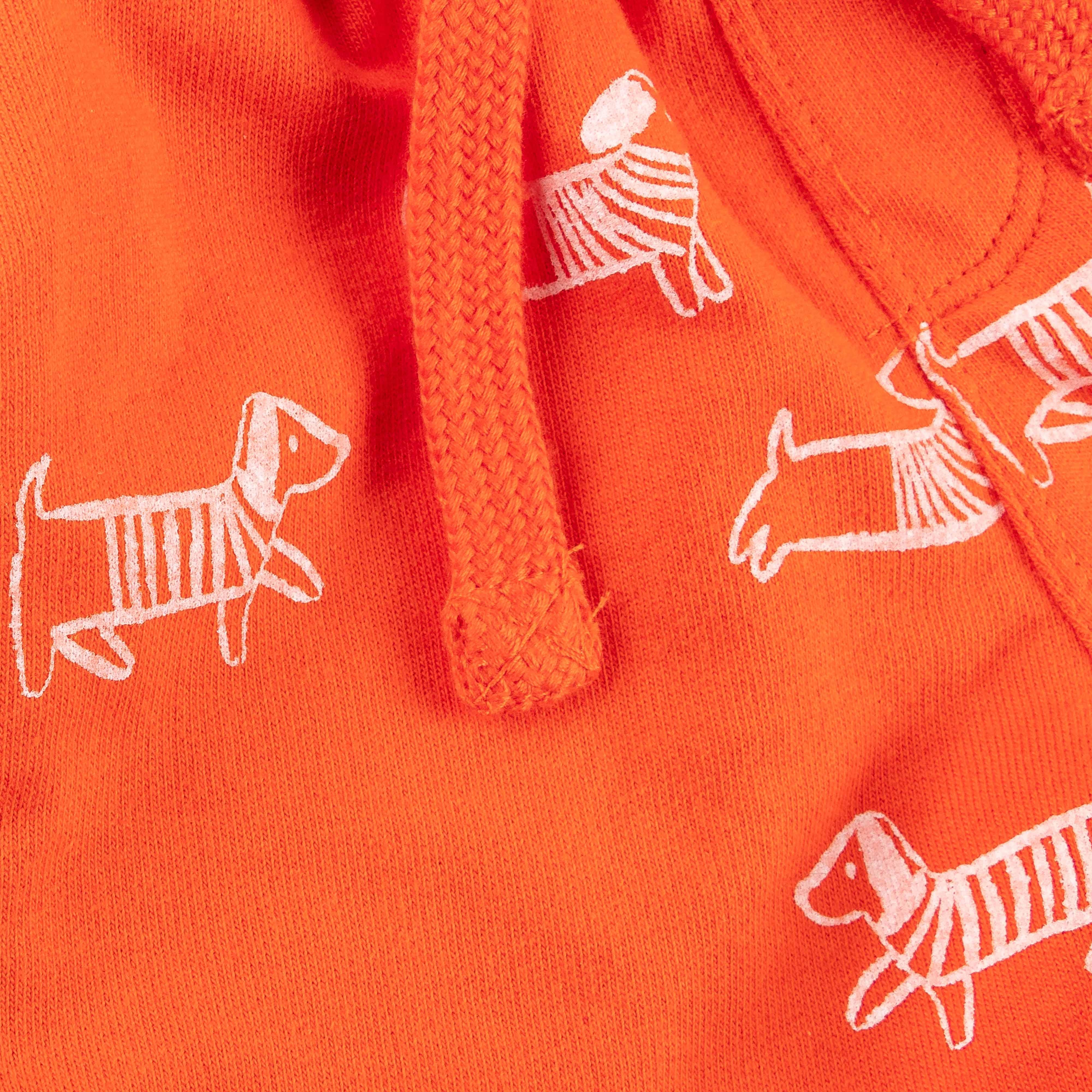 Boys Animal Printed Shorts - Juscubs