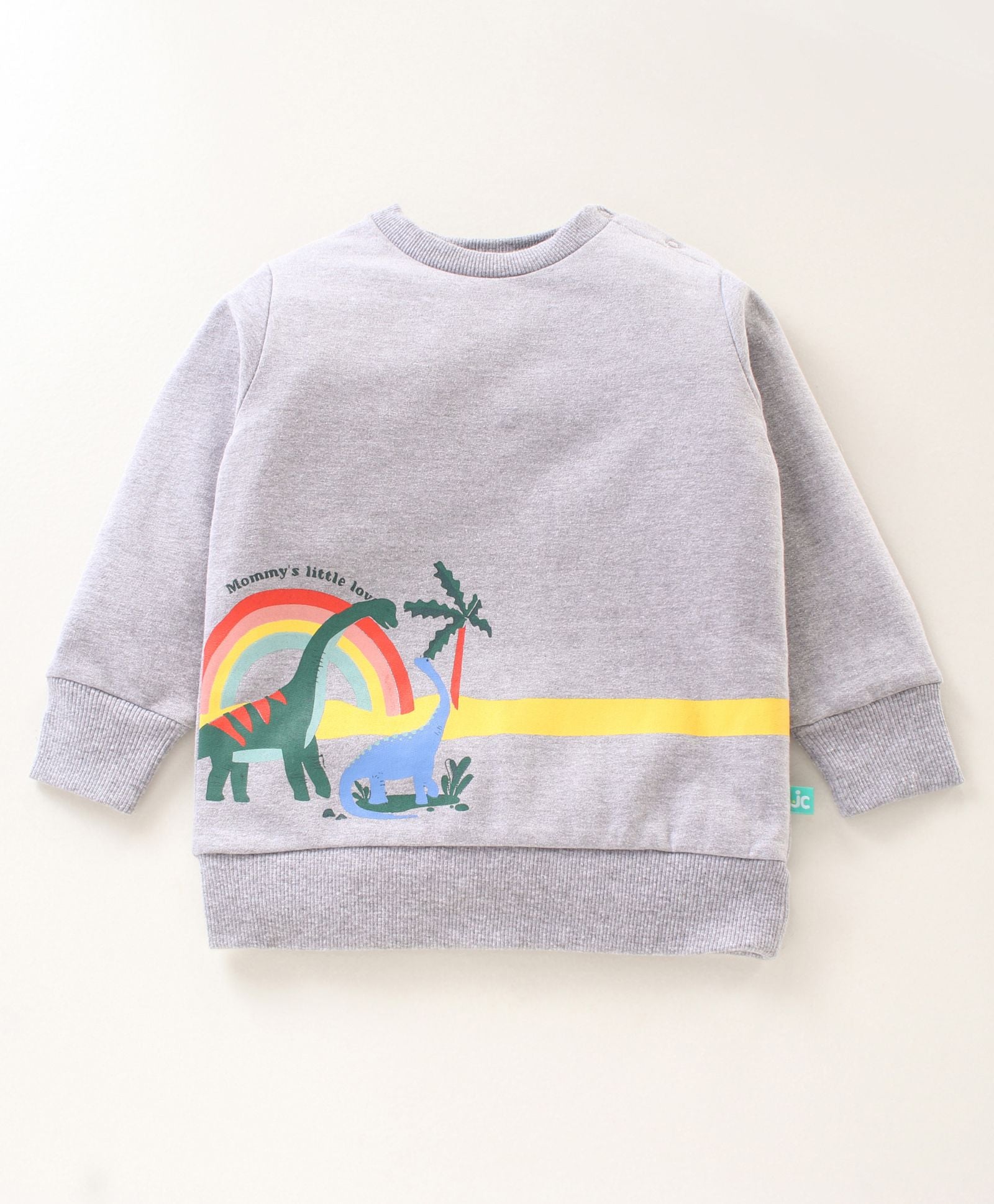 Boys Sweatshirt Dino Print - Grey