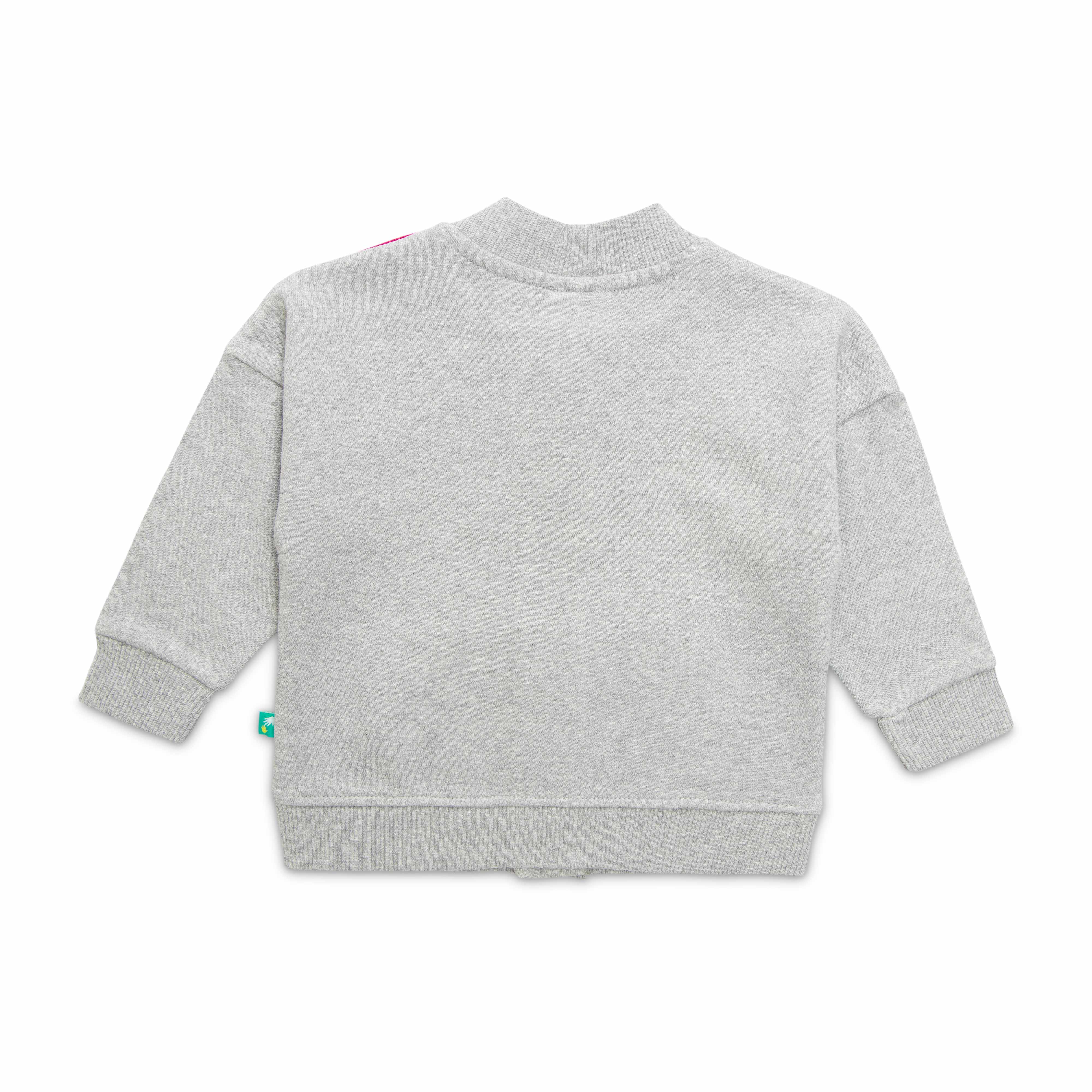 Girls Full Sleeve Embroidery SweaT-Shirt