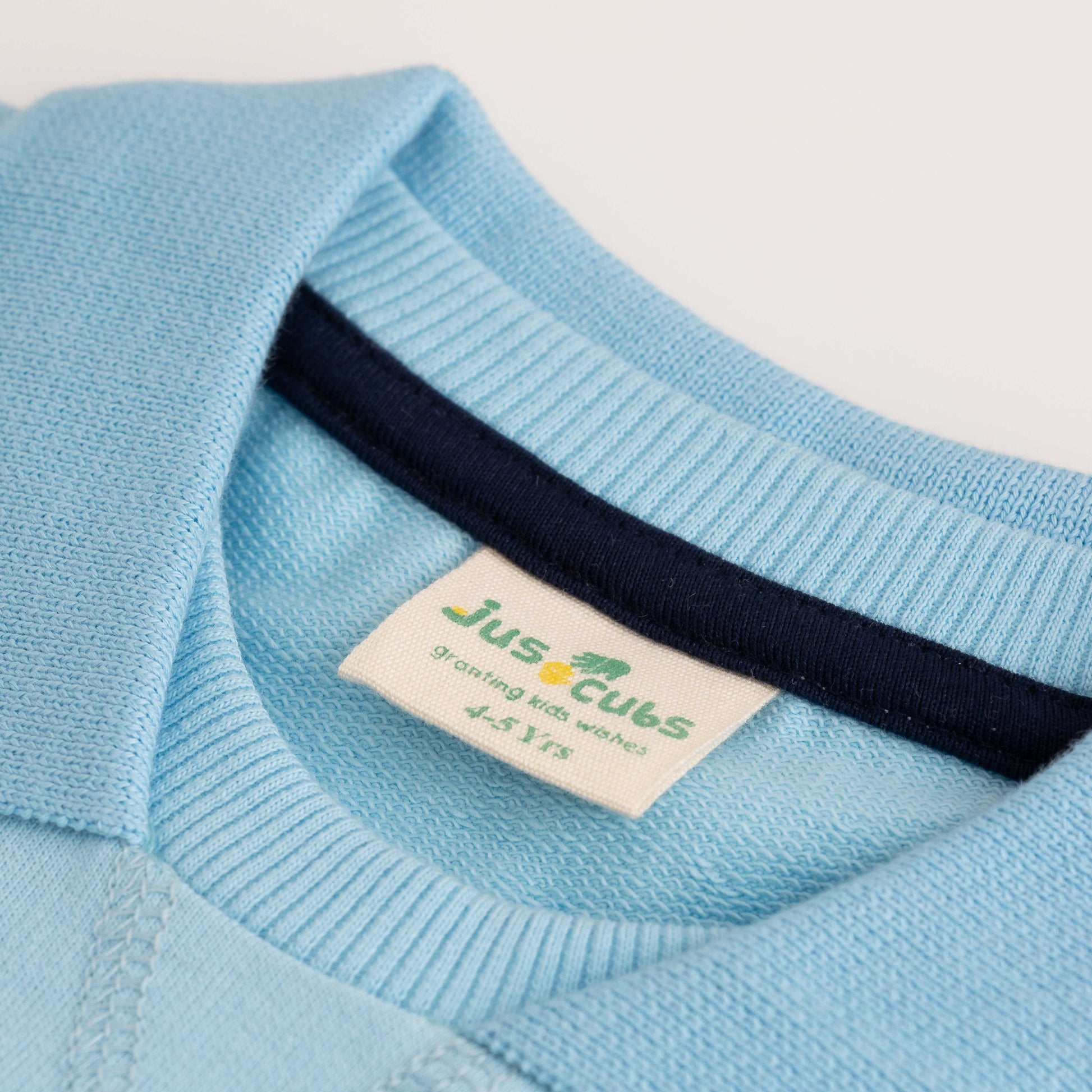 Boys' Light Blue Long Sleeve T-Shirt with Sport Badge Detail