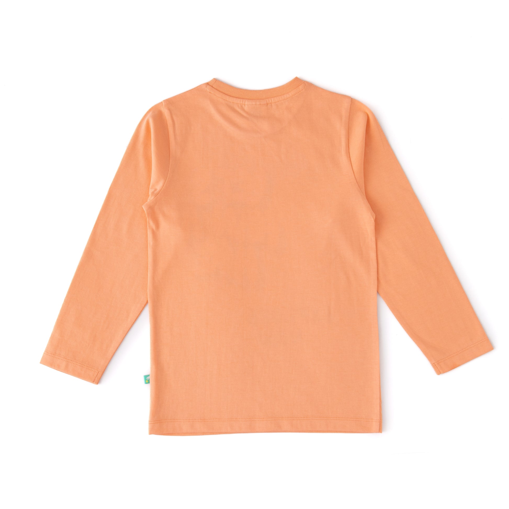 Boys' Peach "Let's Plan a Hike" Adventure Printed Long Sleeve T-Shirt