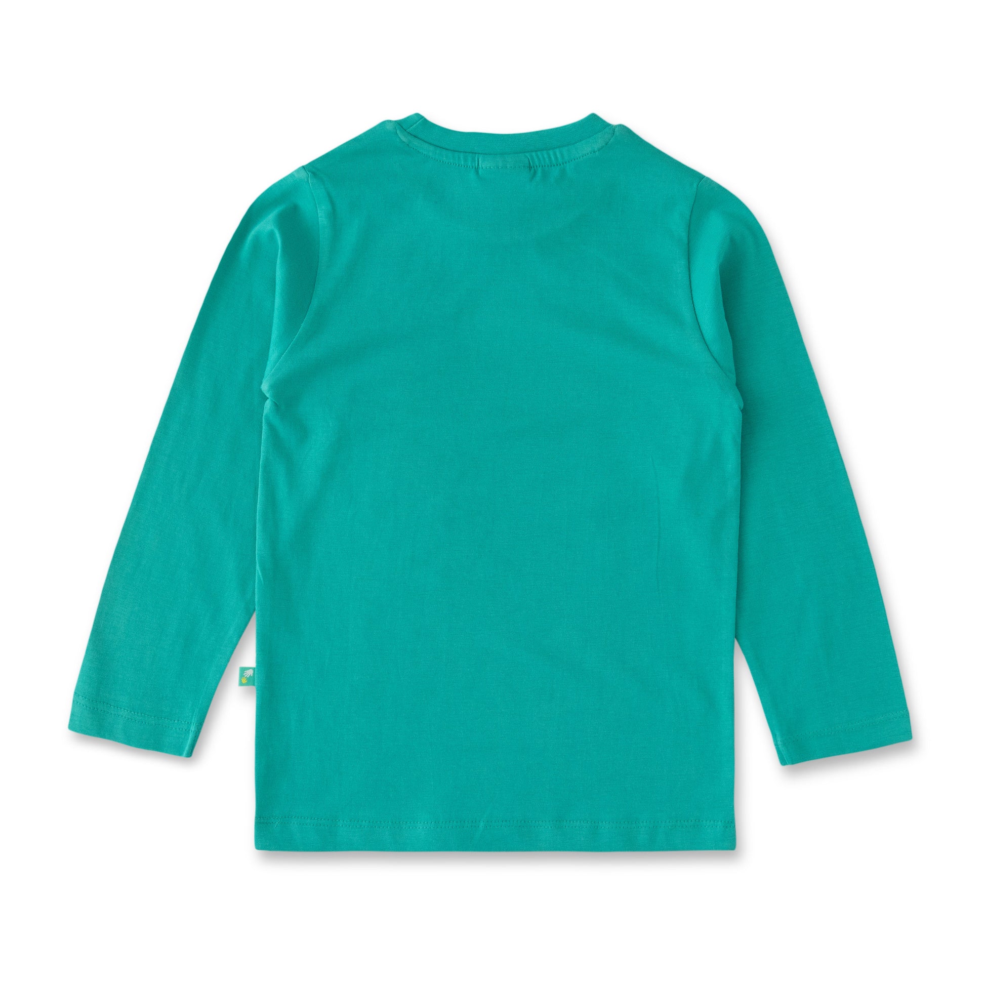 Boys' Teal Basketball Graphic Print T-Shirt