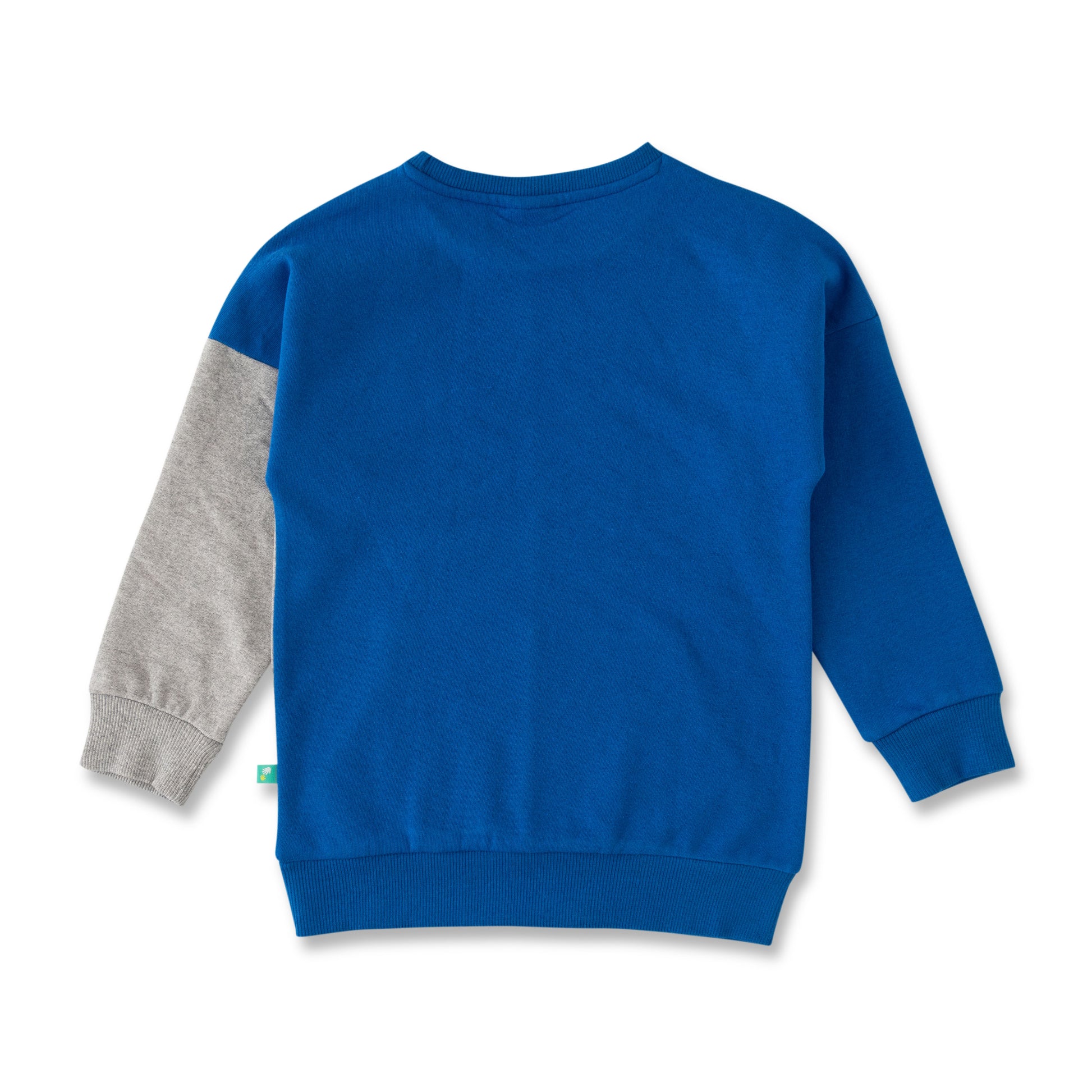 Boys' Blue & Grey Colorblock Sweatshirt with Embroidered Logo