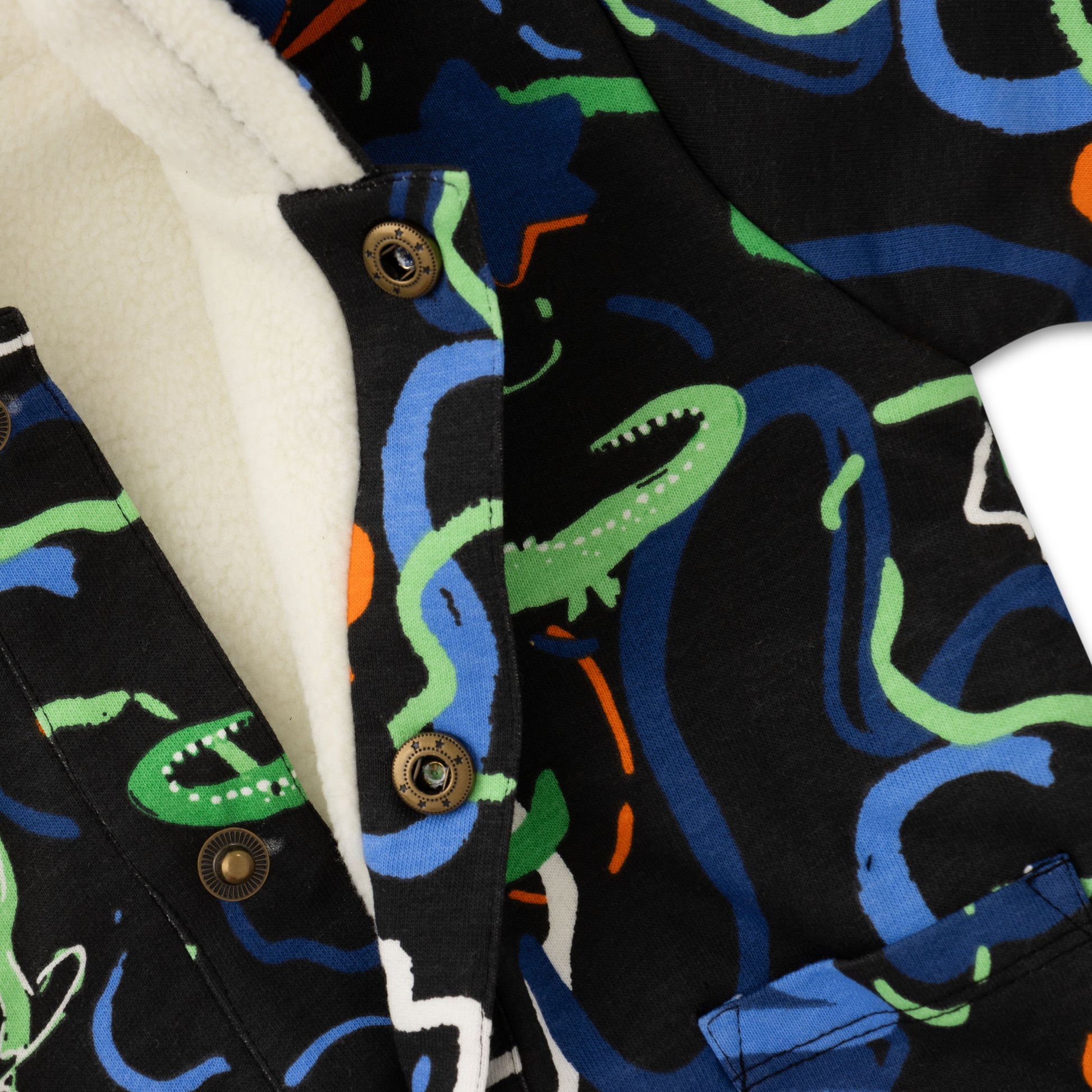 Boys' Fleece-Lined Hoodie with Dinosaur & Alligator Print – Multicolor