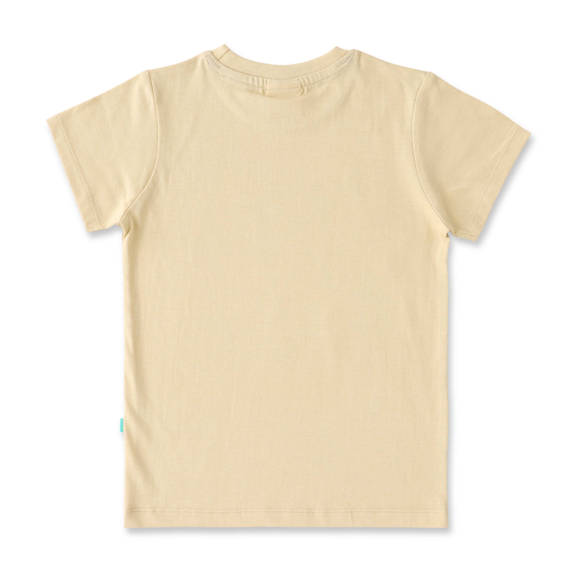 Boys' Airplane Graphic T-Shirt - Beige Sky Adventure Print