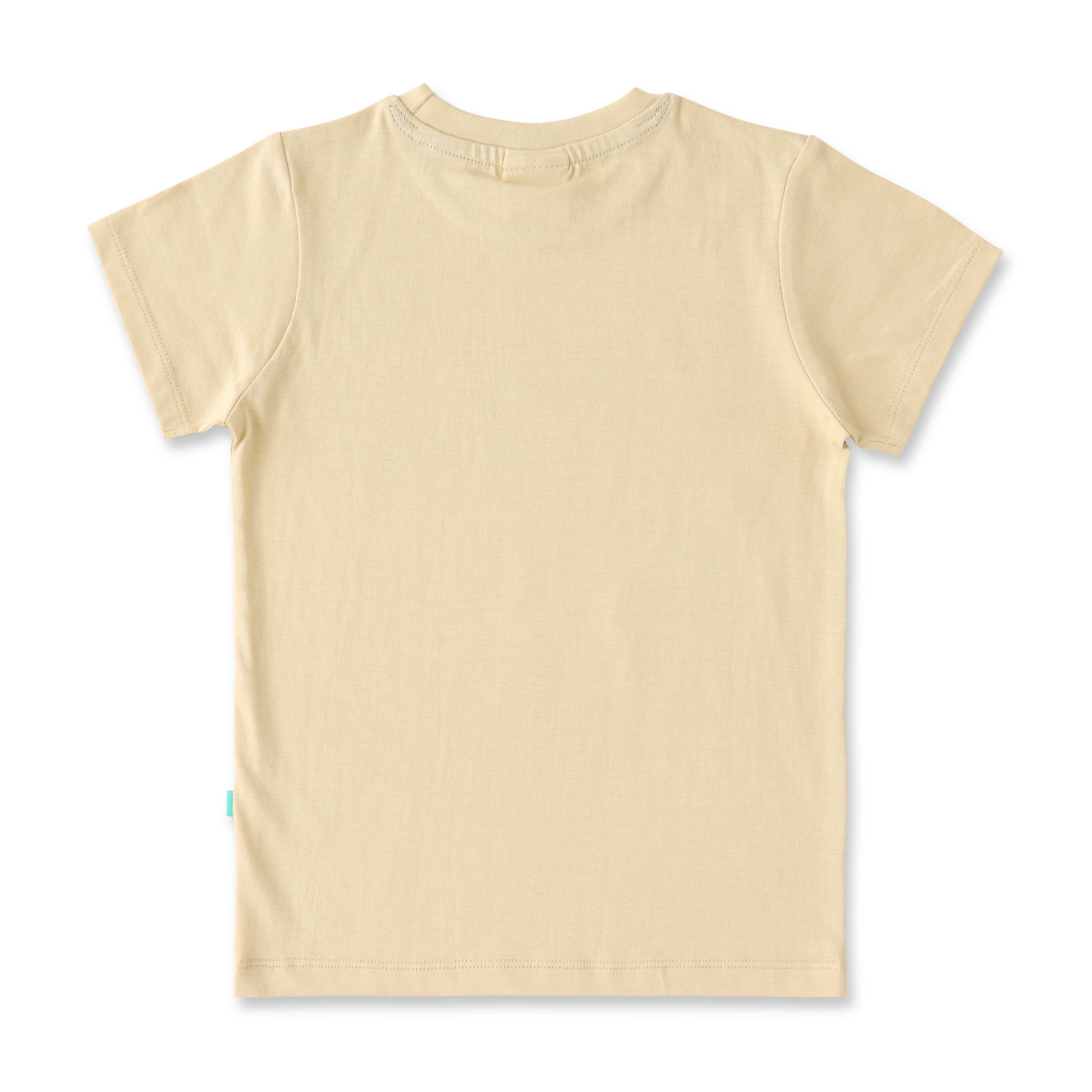Boys' Airplane Graphic T-Shirt - Beige Sky Adventure Print