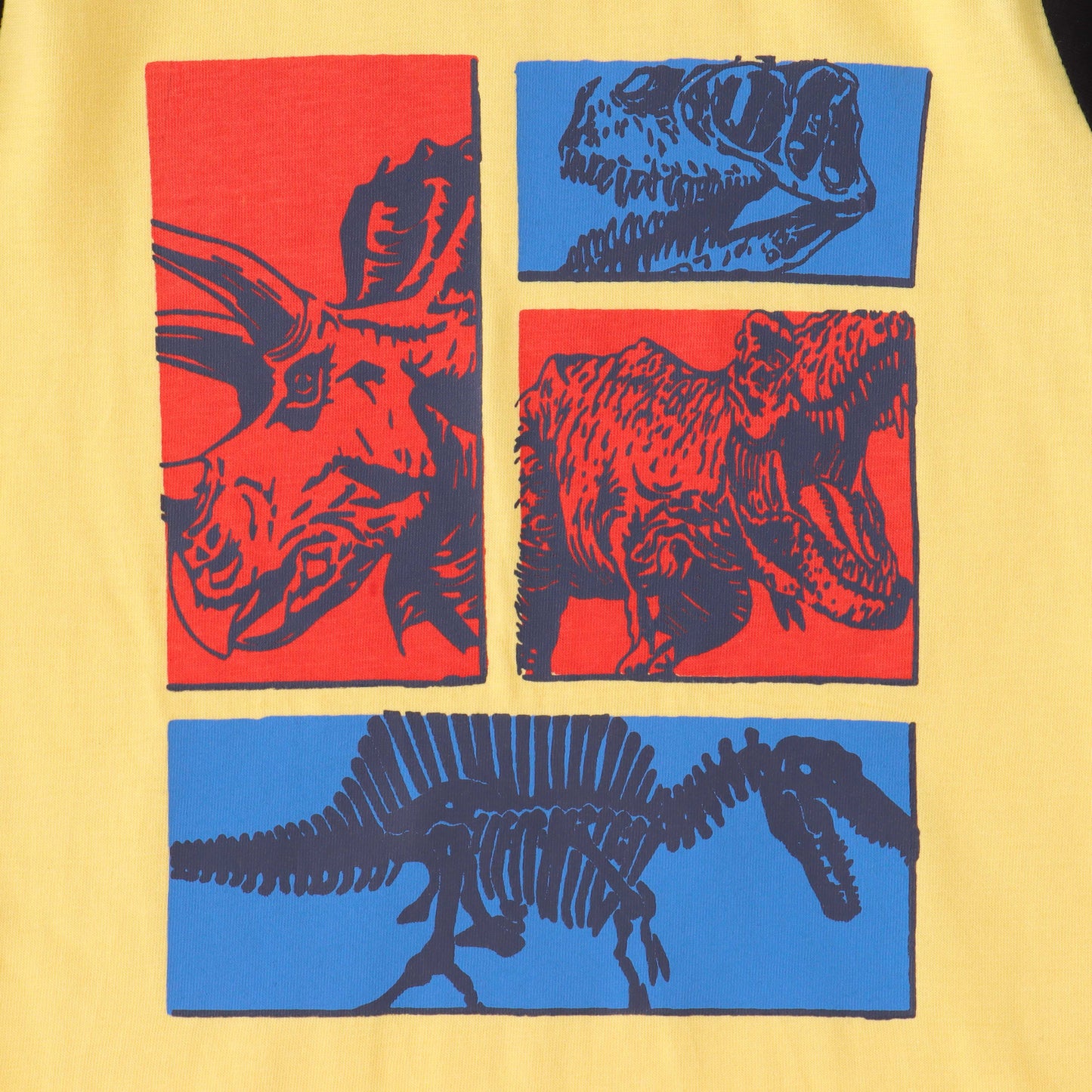 Boys' Dinosaur Fossil Graphic T-Shirt - Yellow & Black Sleeves