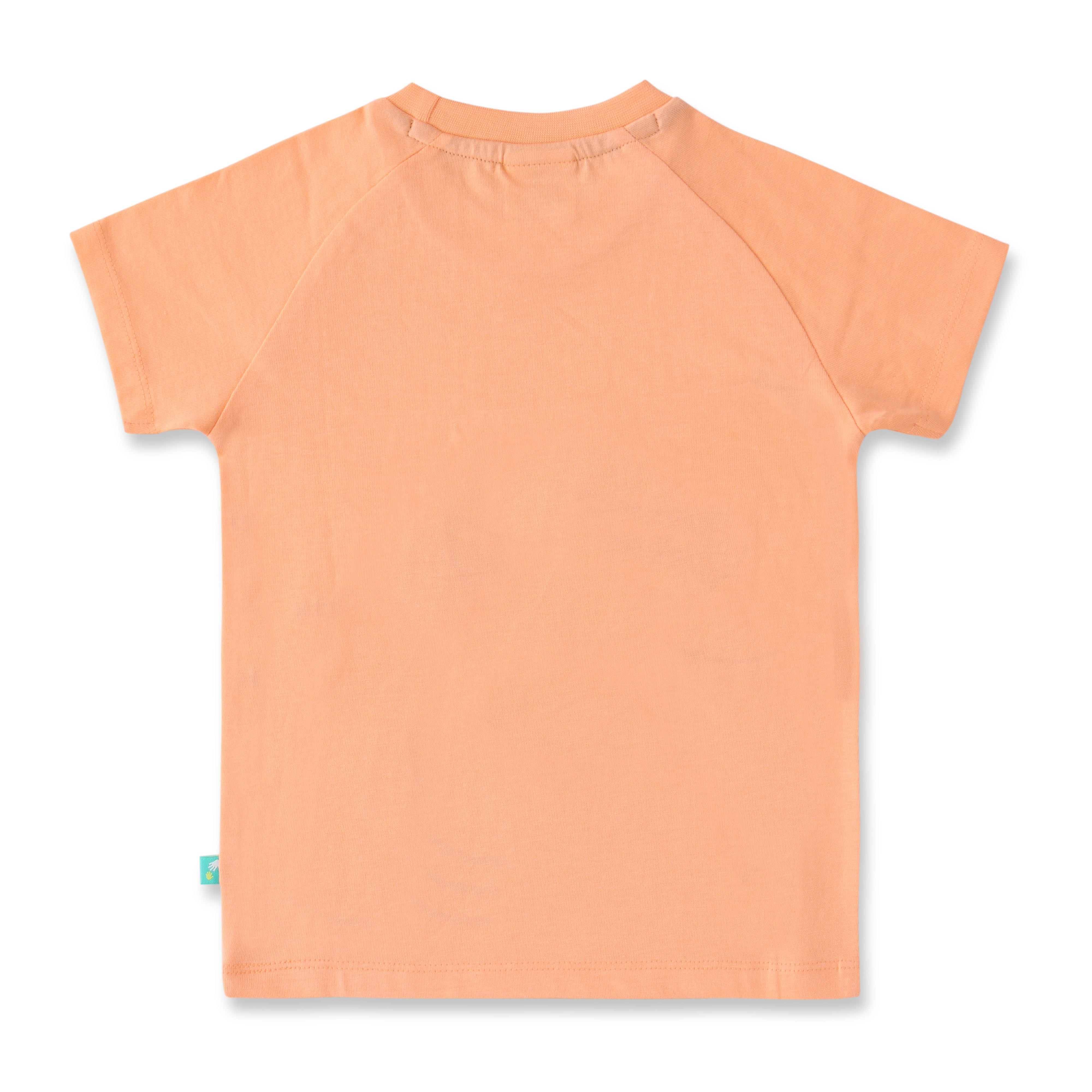 Boys Peach Shark Print T-Shirt & Shorts Set – "Hi Dude" Design