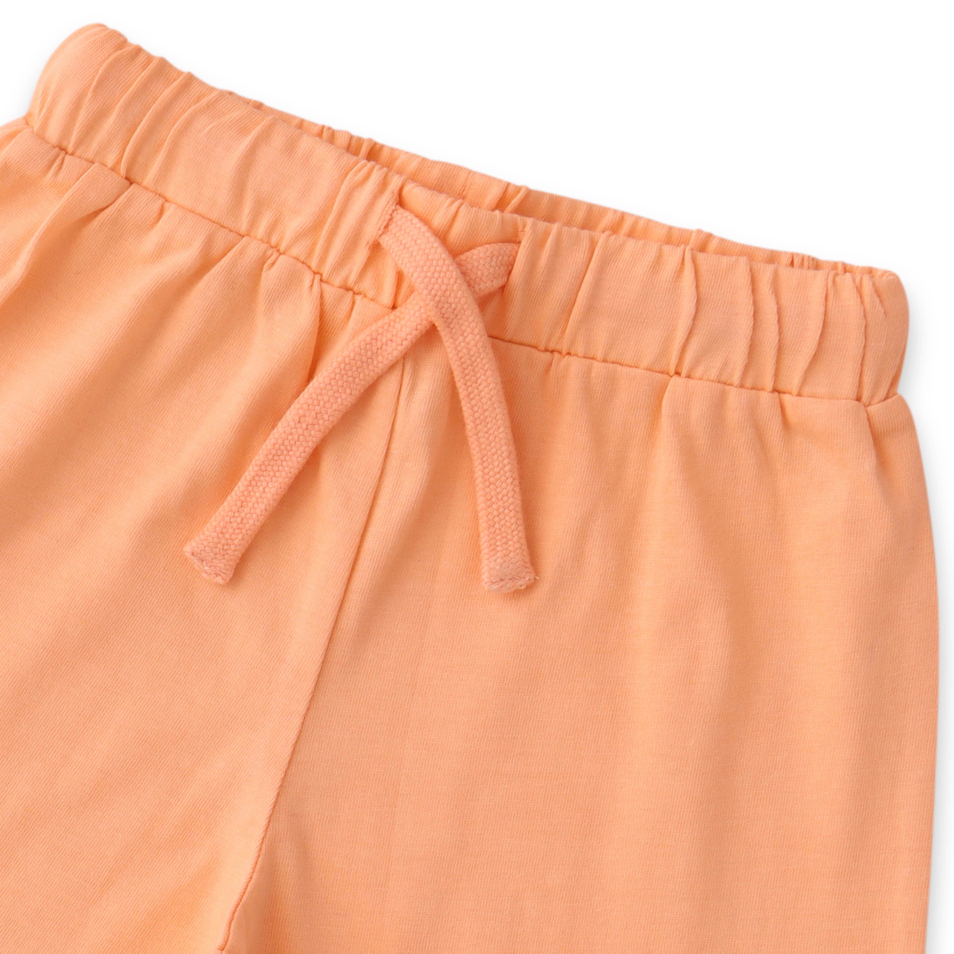 Boys Peach Shark Print T-Shirt & Shorts Set – "Hi Dude" Design