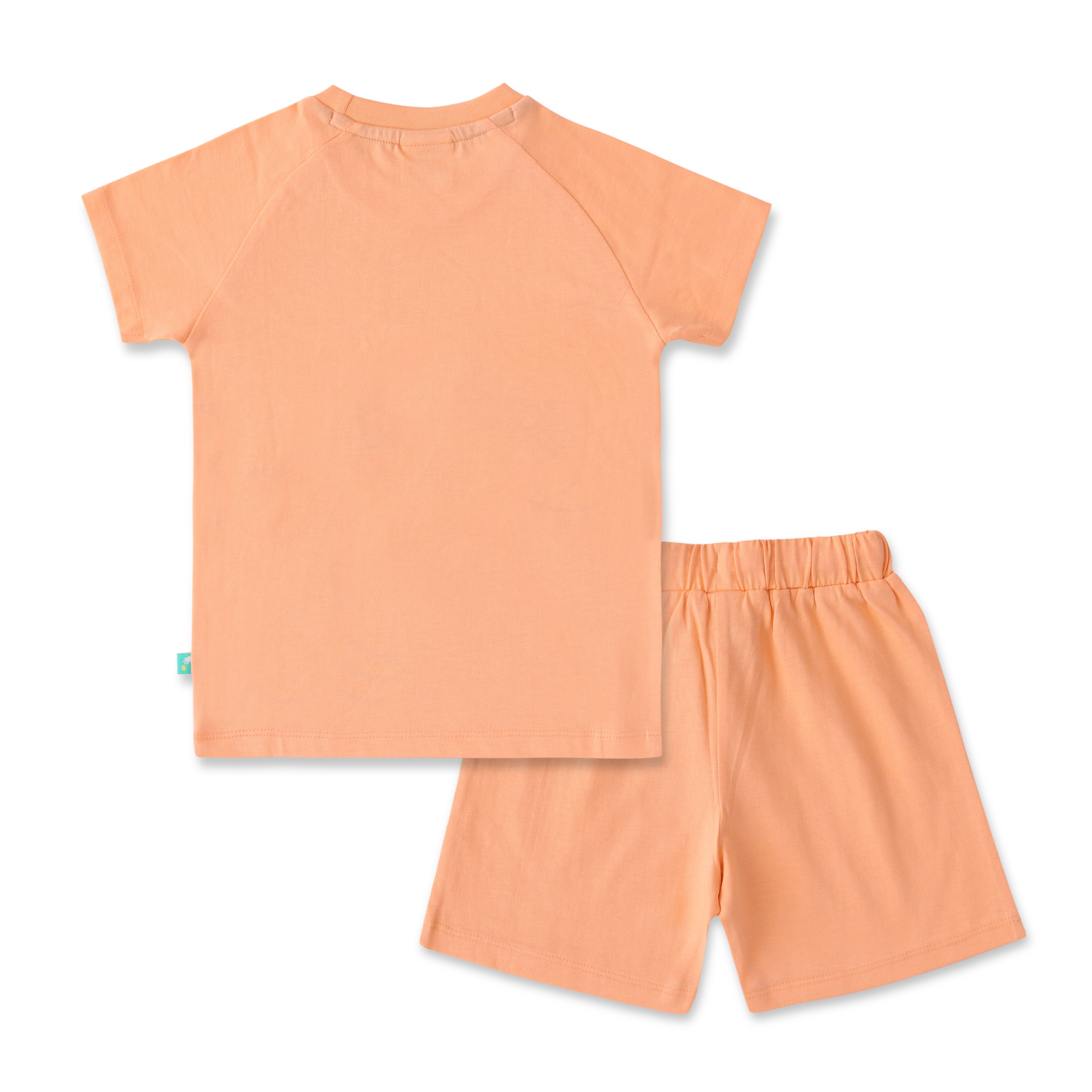 Boys Peach Shark Print T-Shirt & Shorts Set – "Hi Dude" Design