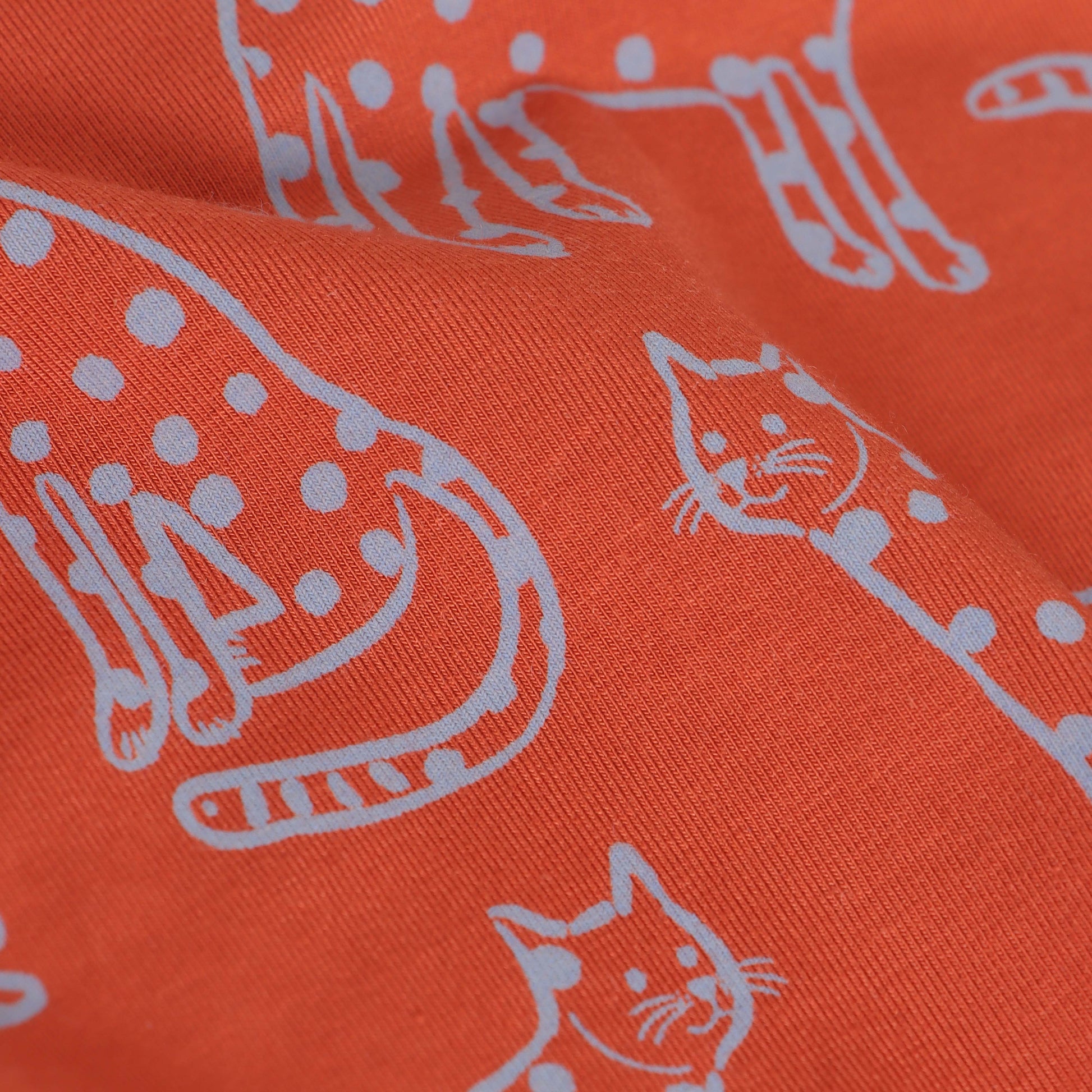 "Boys Rust Orange Leopard Print Nightwear Set – 100% Cotton Comfort Fit"