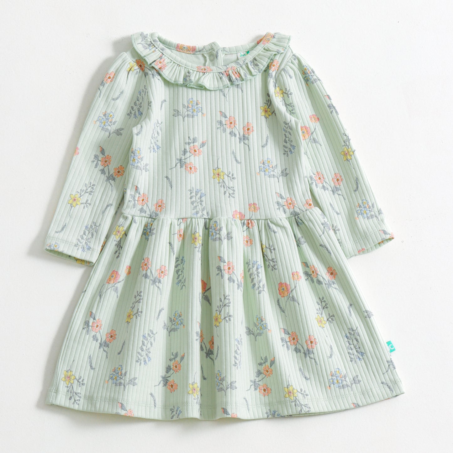 "Baby Girls Mint Green Floral Printed Rib Knit Dress – Long Sleeve"